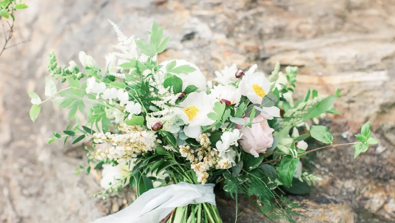 Featured photo from Kate Asire