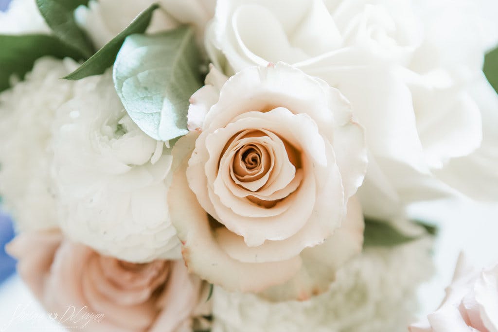 Featured photo from Victoria Blooms