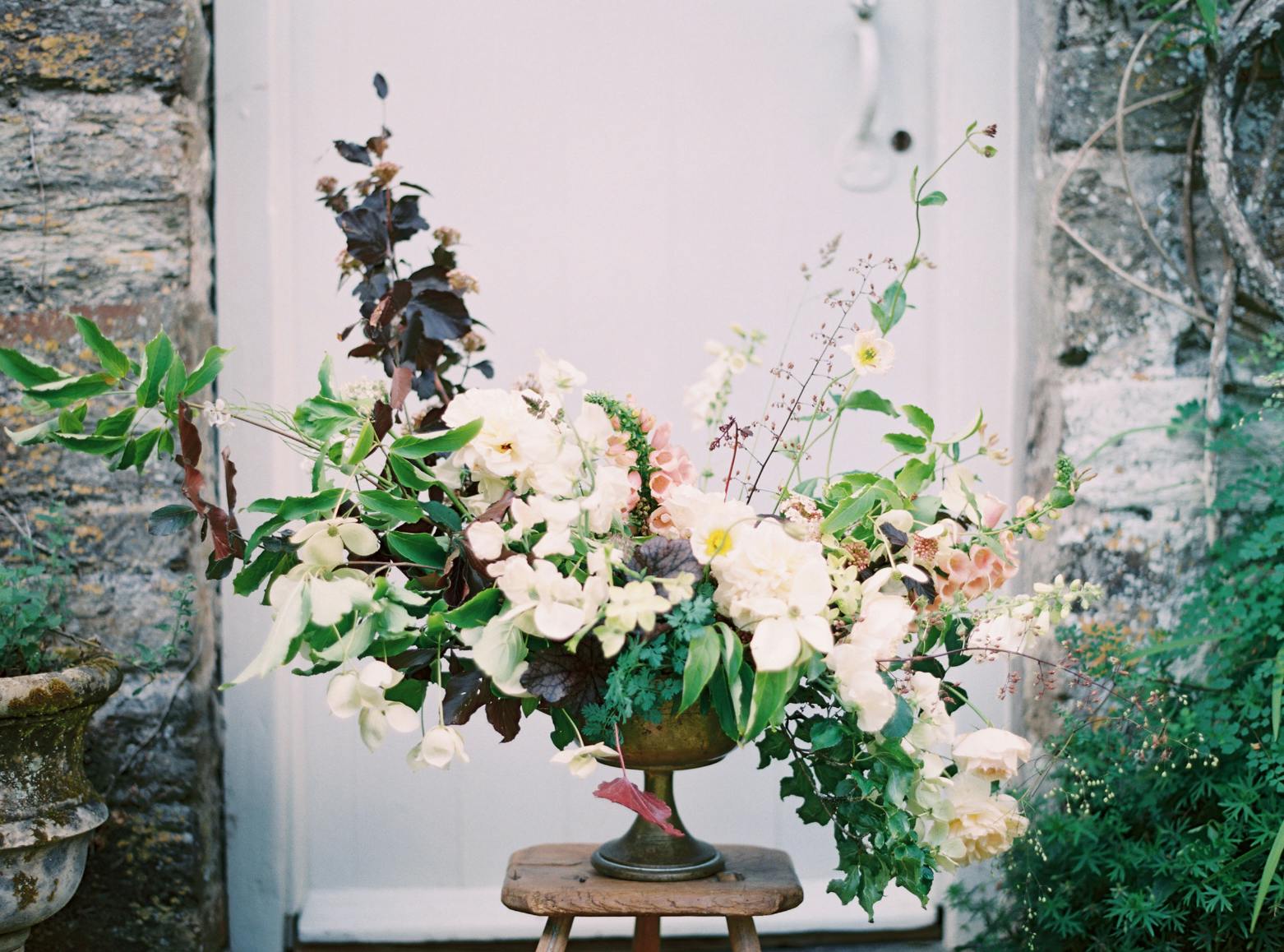 Featured photo from Organic Flora