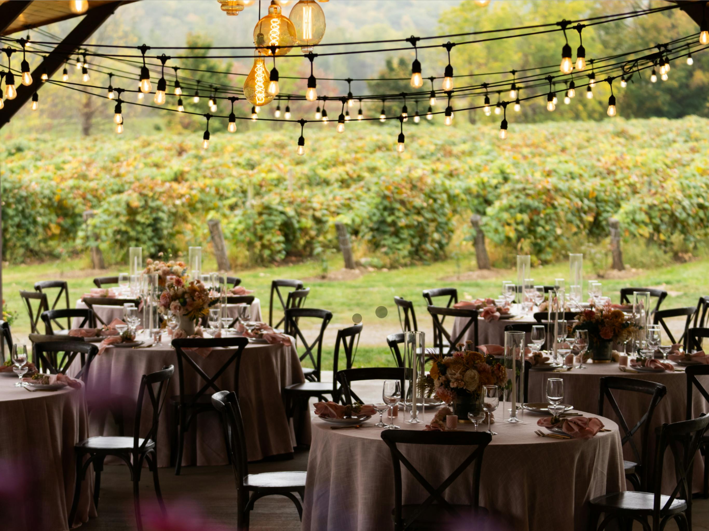 Cover photo of Erin McDonald Co