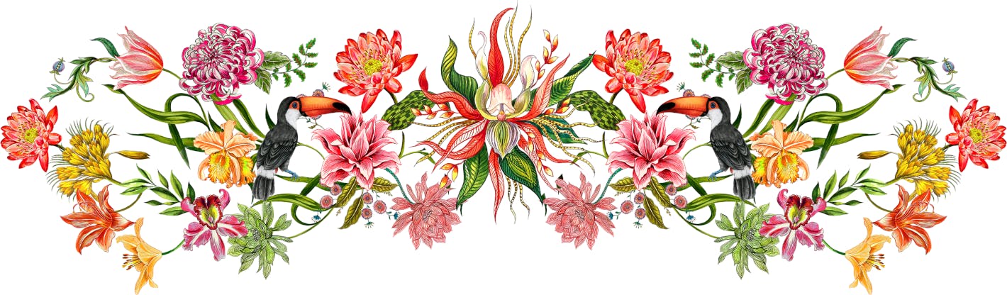 Featured photo from The Ivory Peacock & Ploume