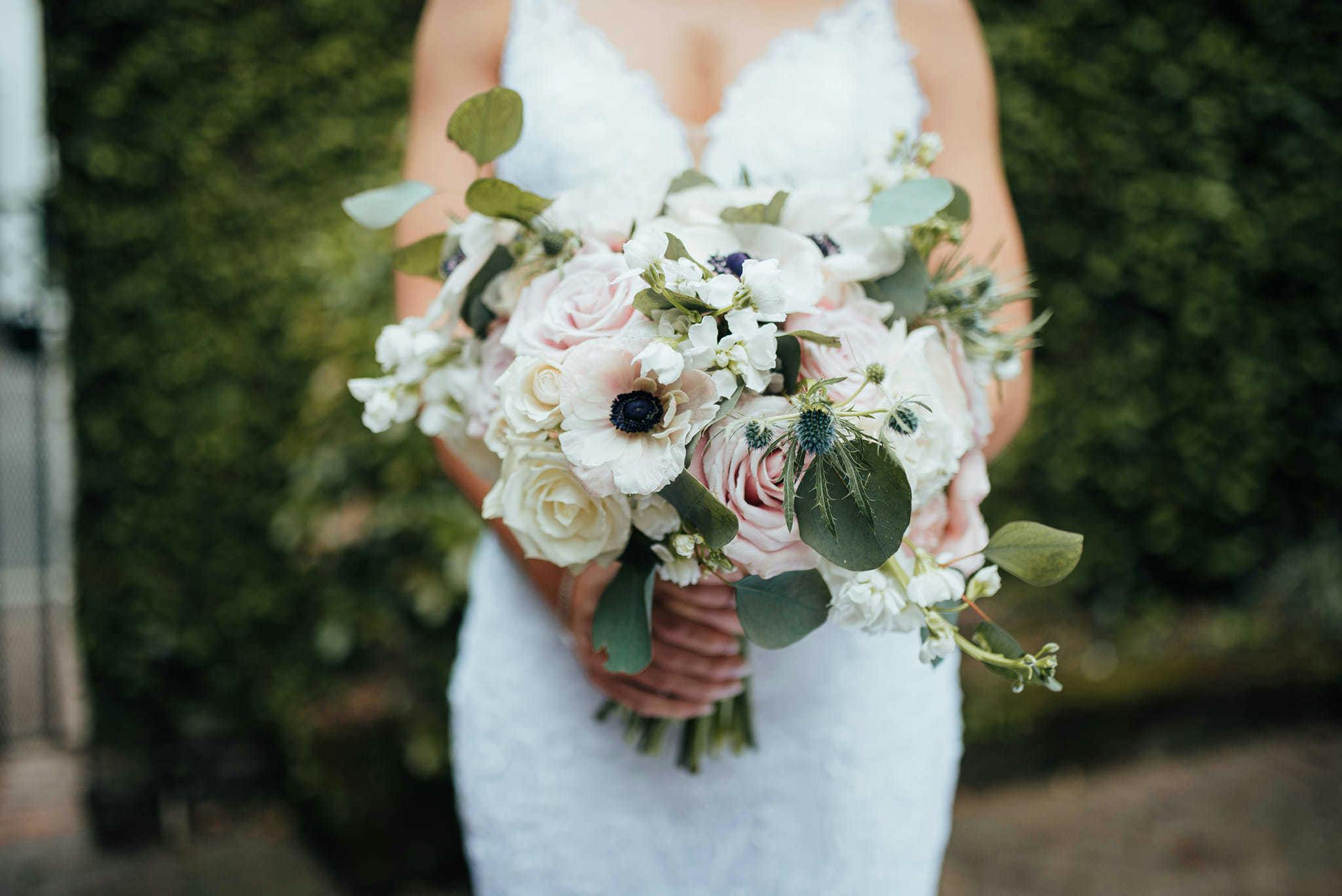 Featured photo from A to Zinnias