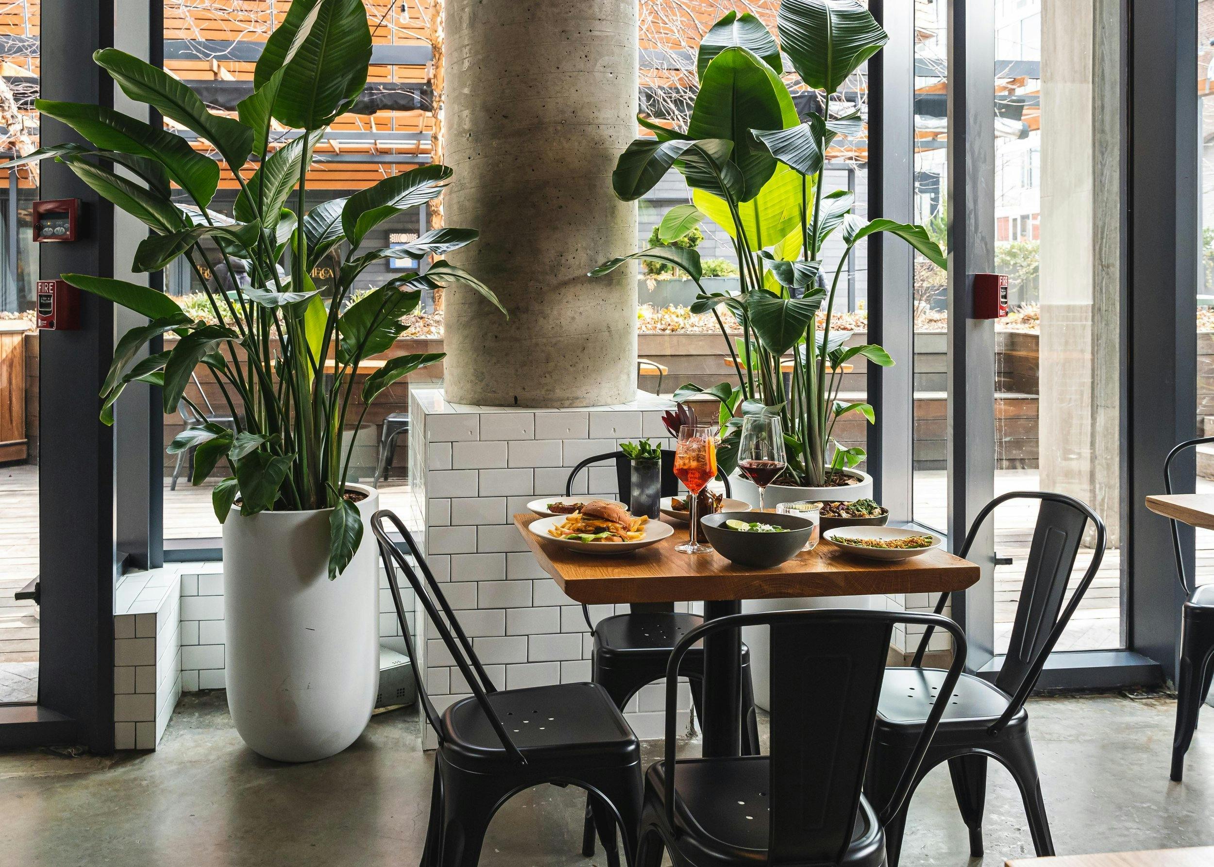 Featured photo from Isla & Co Williamsburg