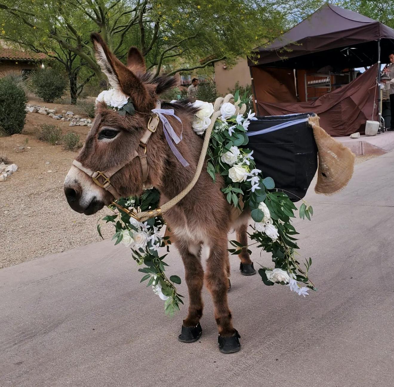 Featured photo from Beer Burro