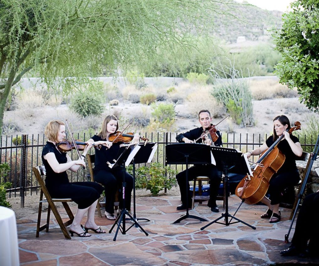 Featured photo from Emotion String Quartet