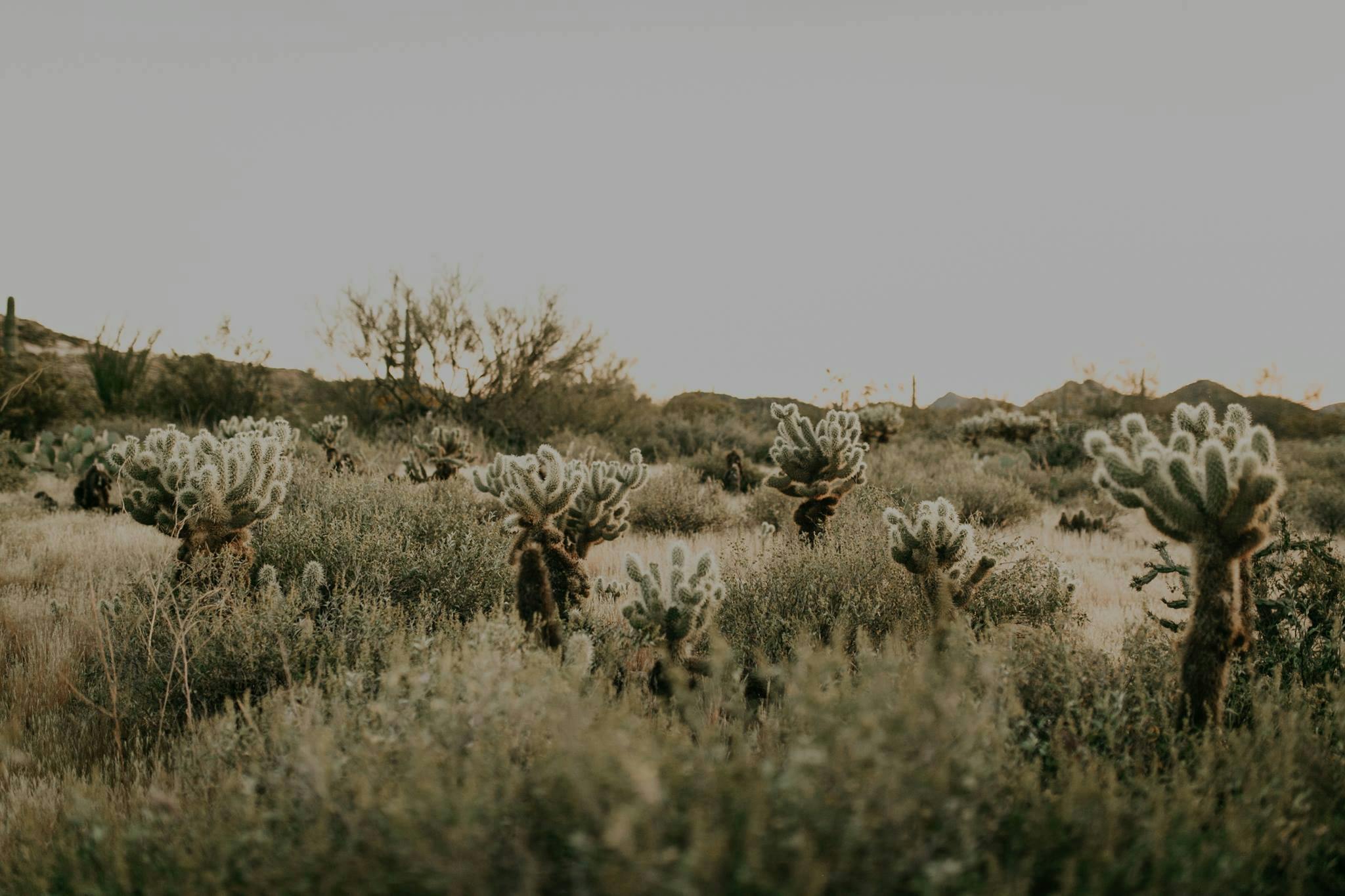 Featured photo from Molly Mcphoto