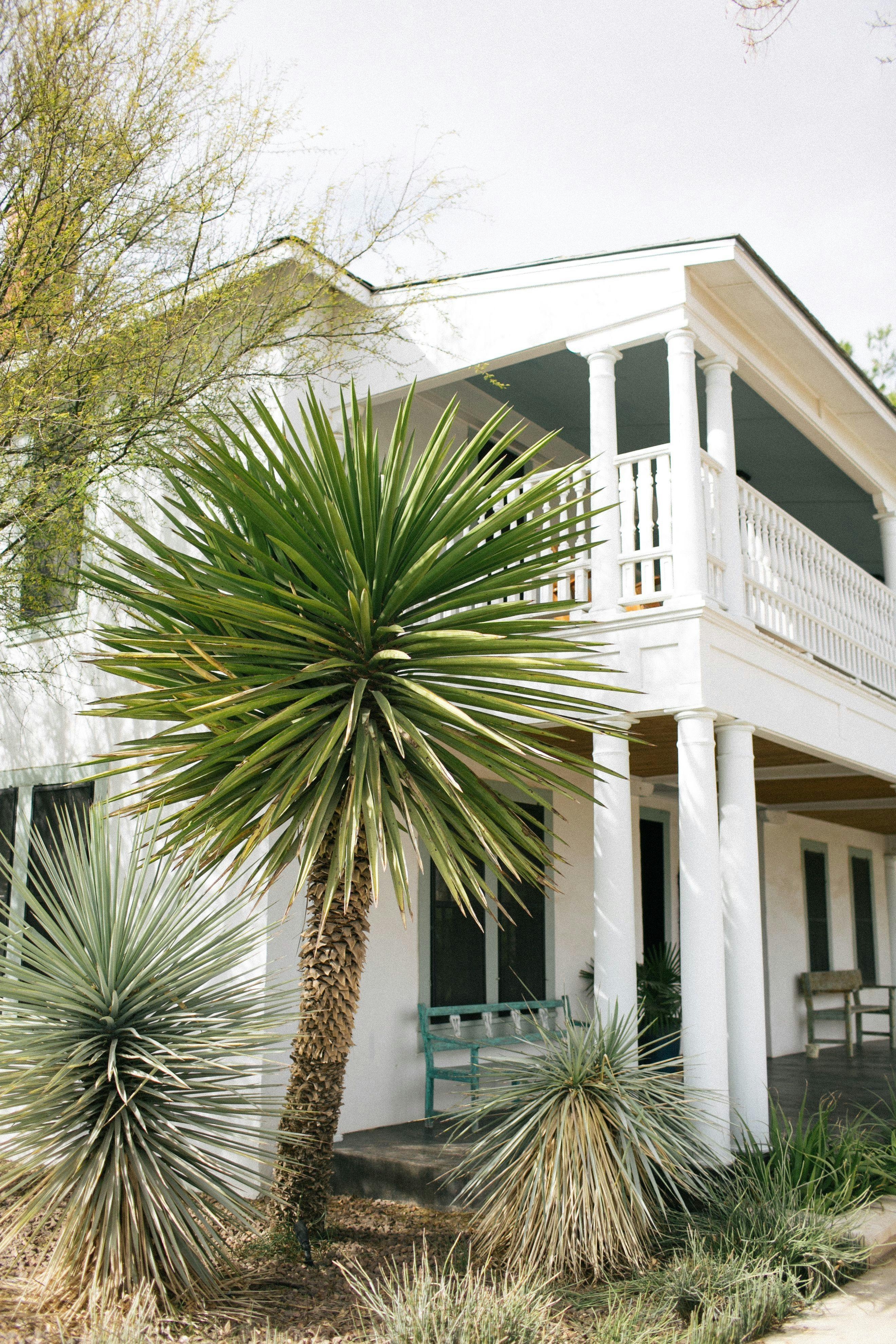 Featured photo from The Gage Hotel