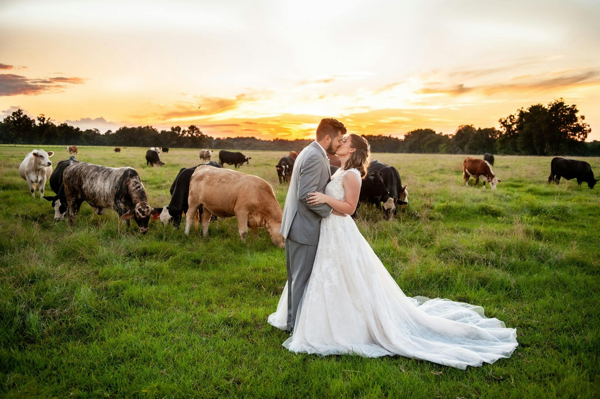 Featured photo from Santa Fe River Ranch