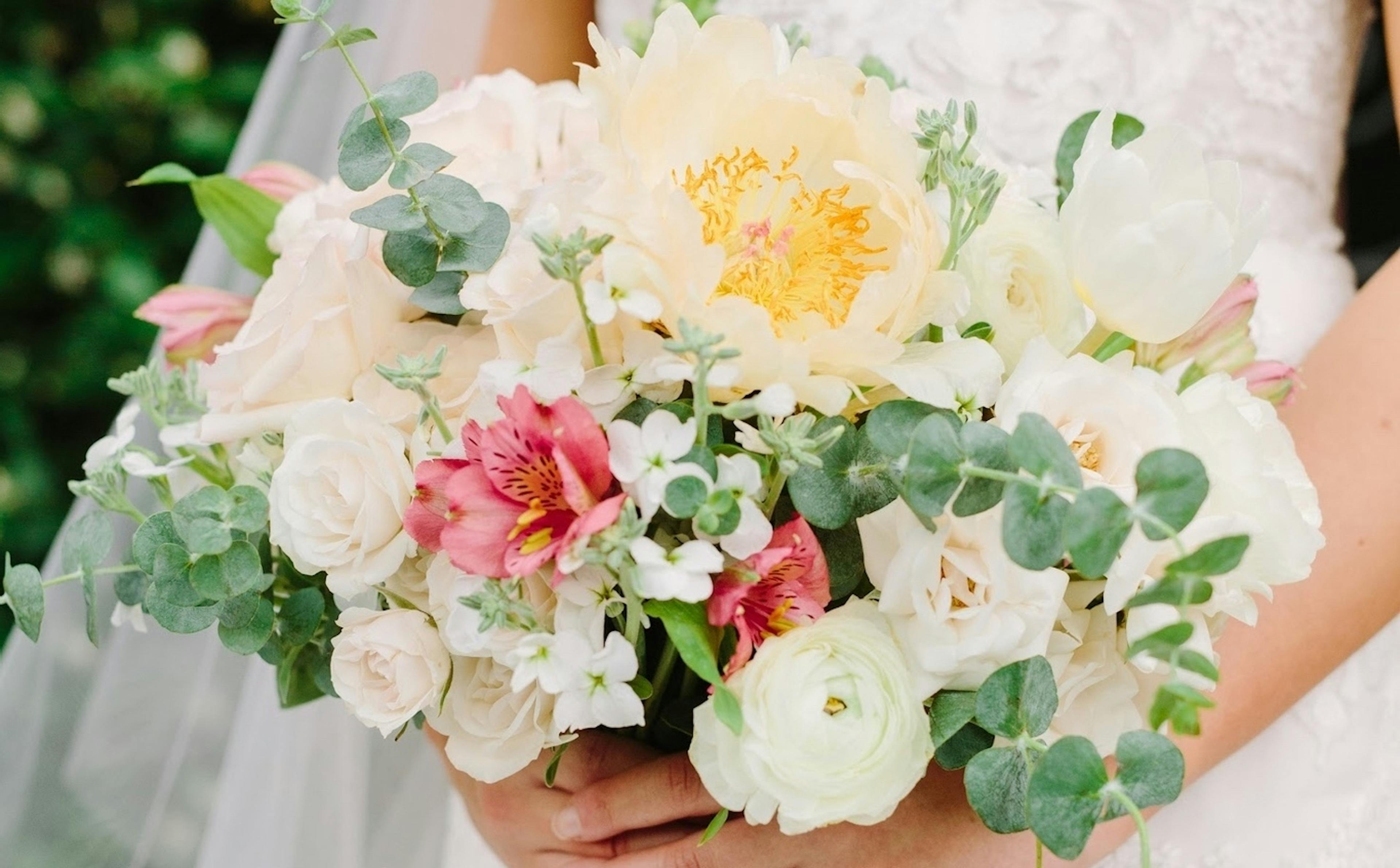 Cover photo of Moonlight Iris Designs