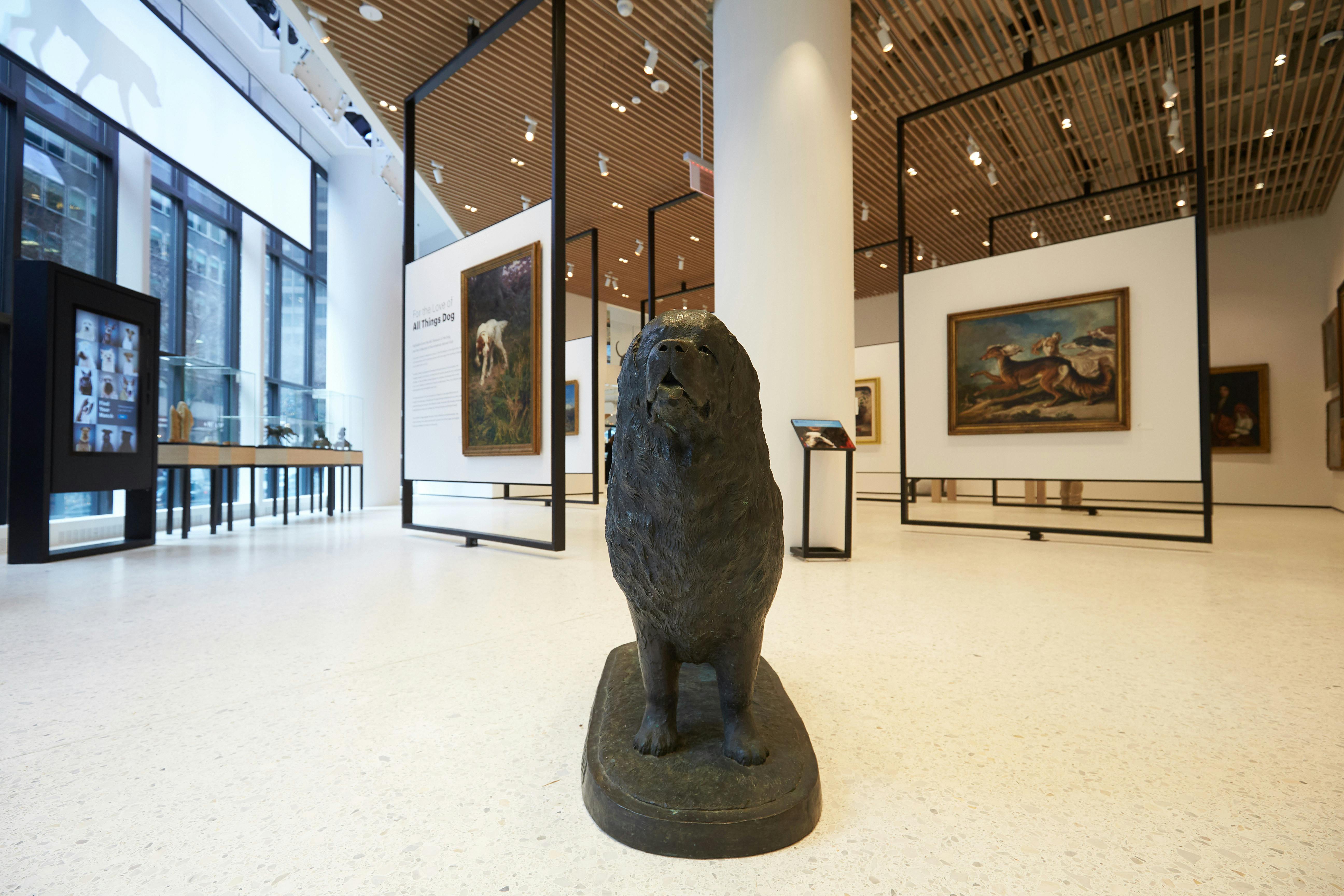 Cover photo of AKC Museum of the Dog