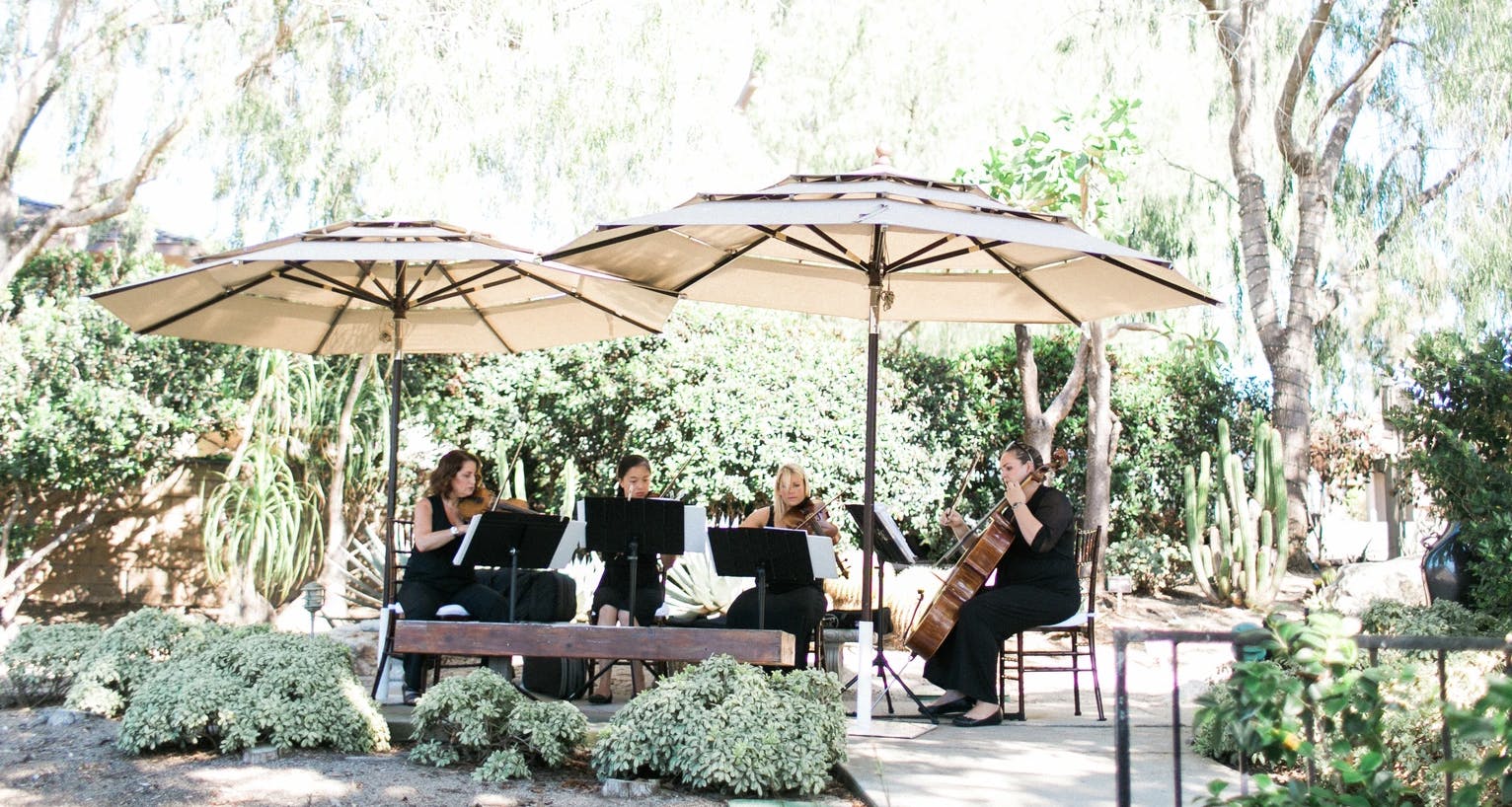 Featured photo from Eliana String Trio