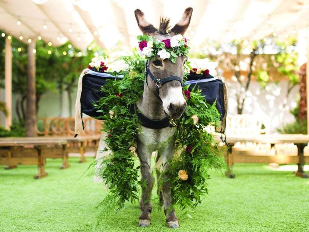 Featured photo from cave creek beer burro