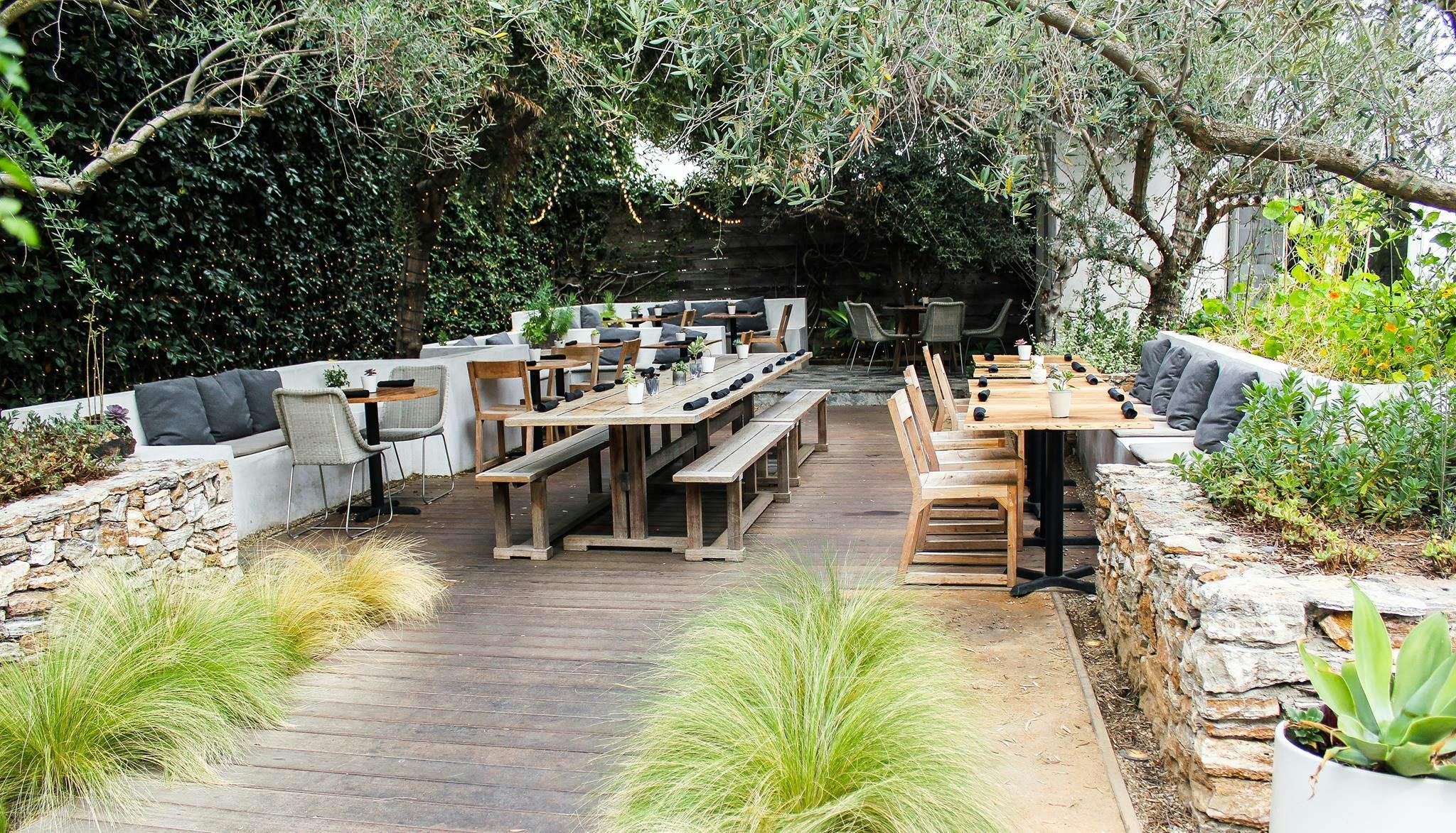 Featured photo from Plant Food + Wine