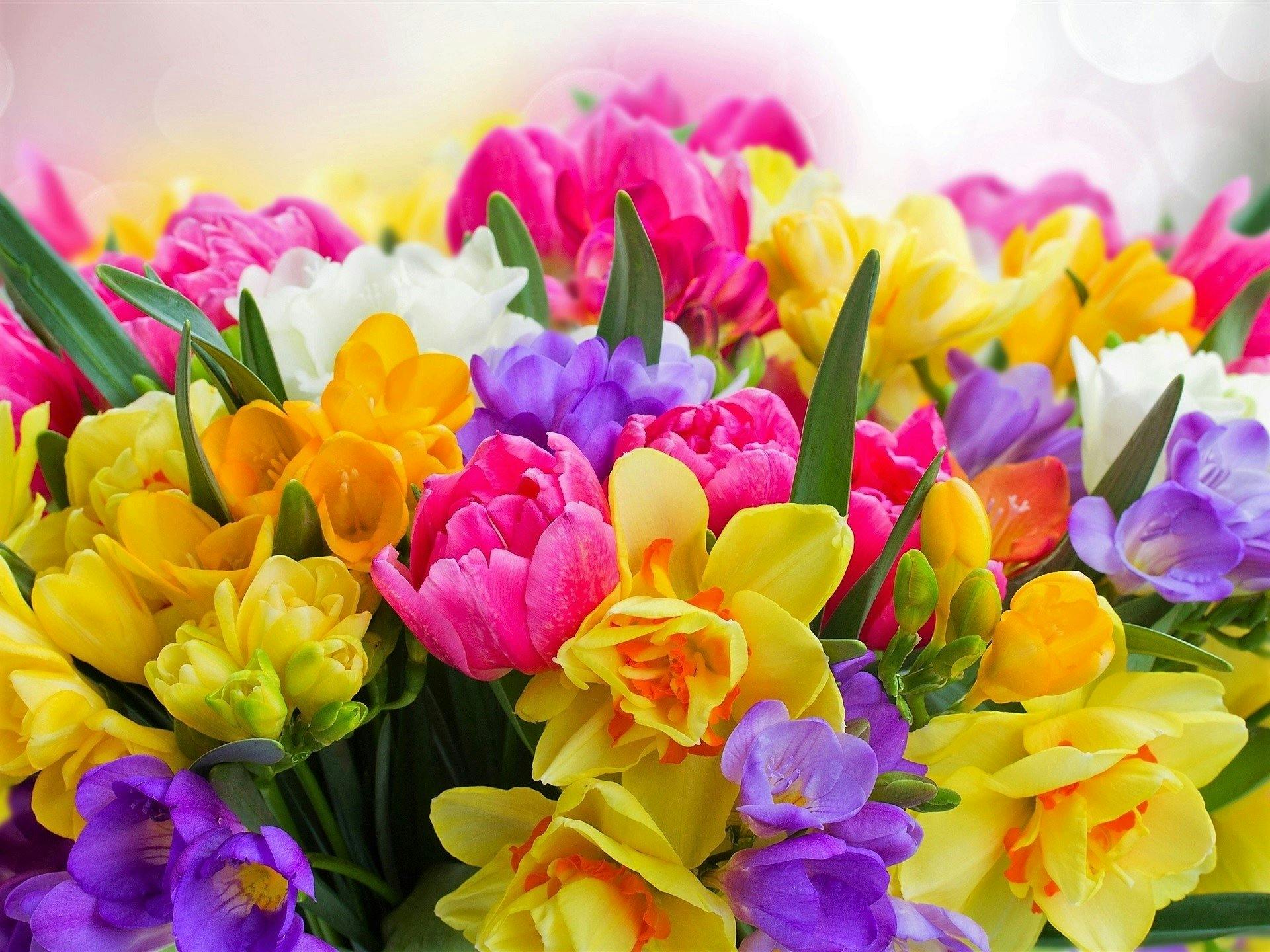 Featured photo from Nosegay's Bouquet Boutique