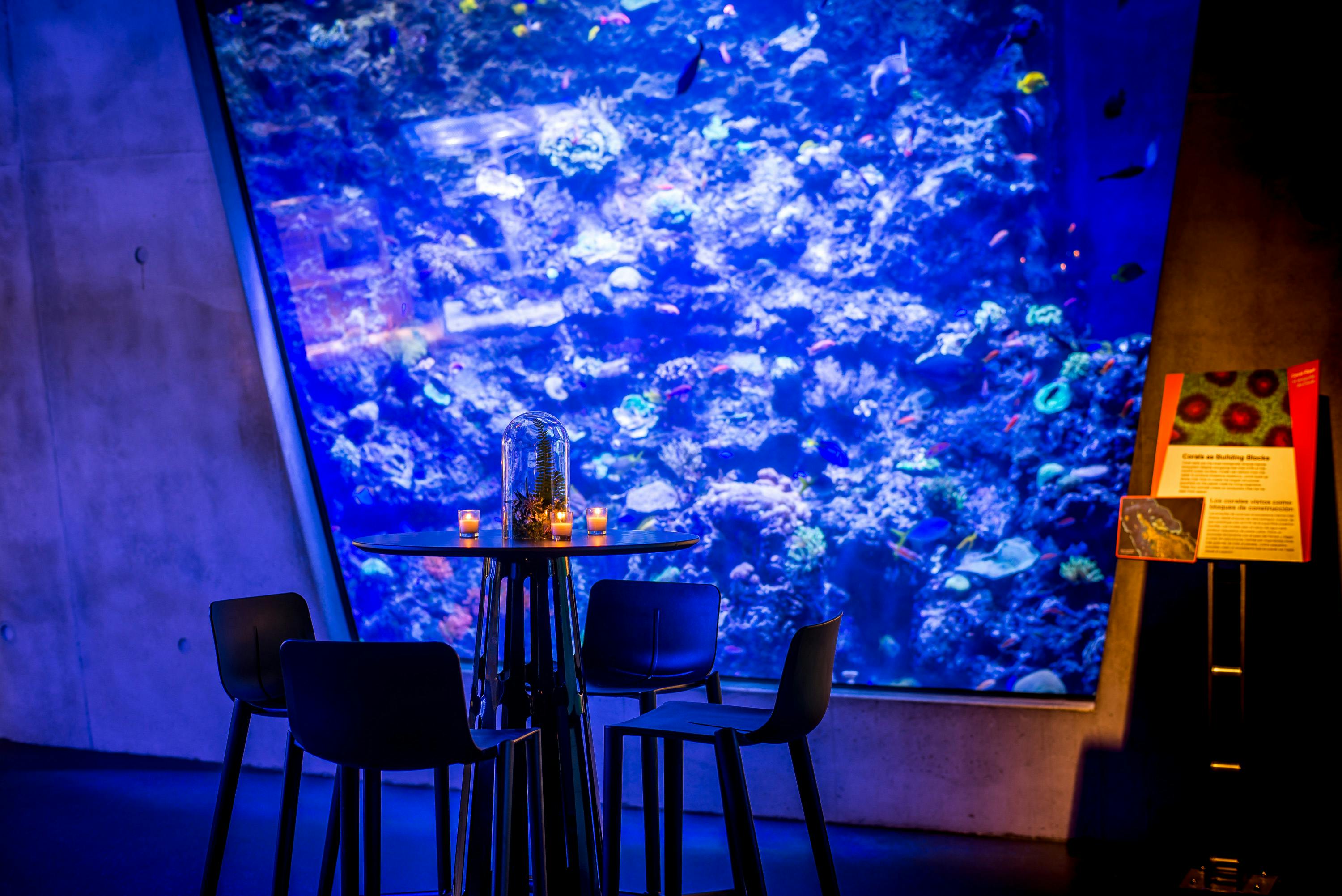 Featured photo from The Phillip and Patricia Frost Museum of Science