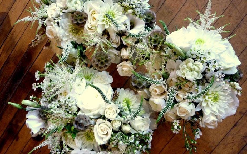 Featured photo from Larkspur