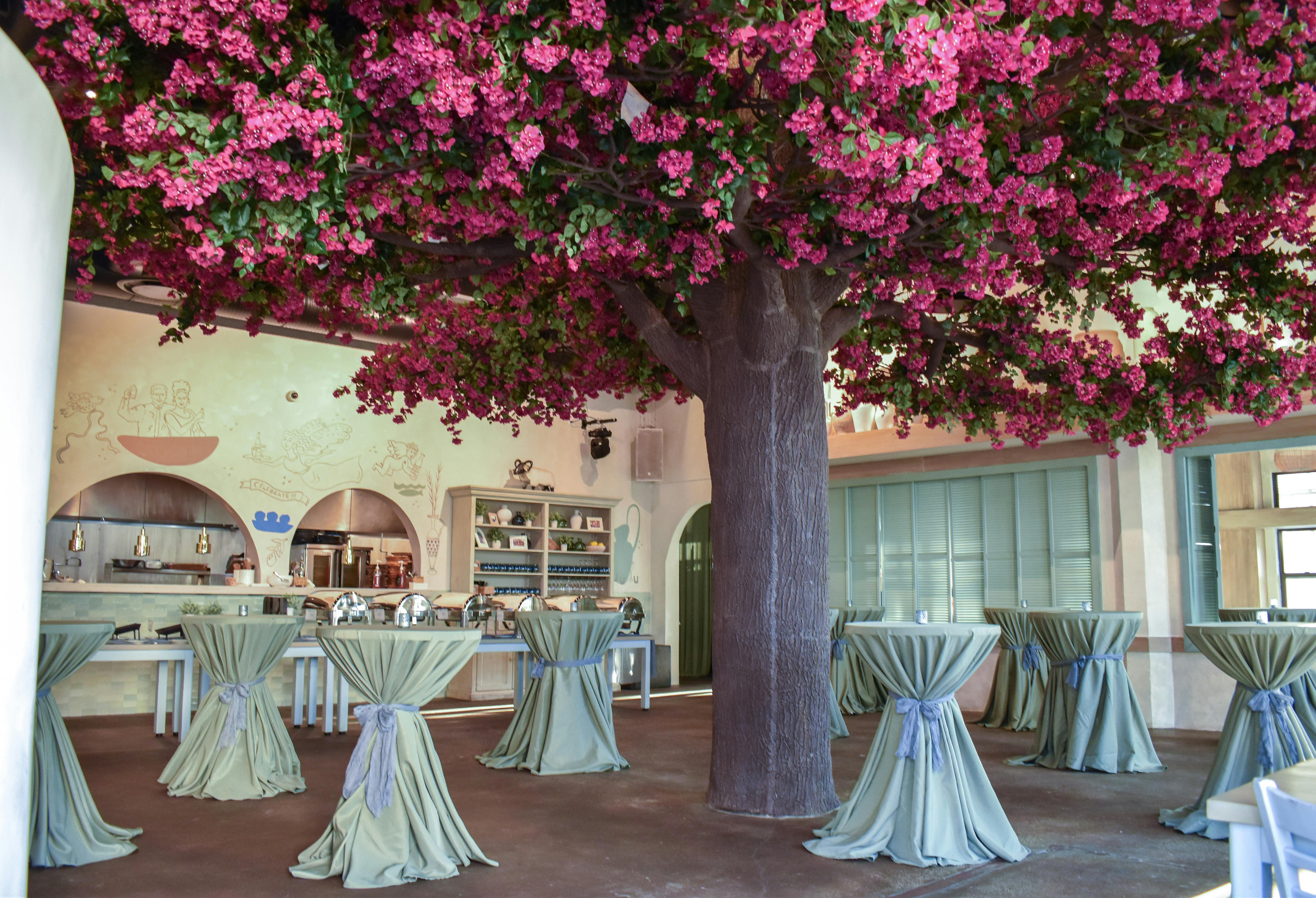 Featured photo from Taverna Opa Orlando