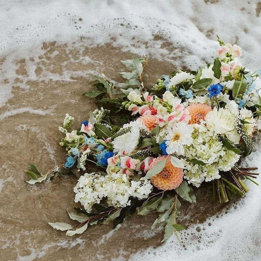 Featured photo from Sweet Blossoms