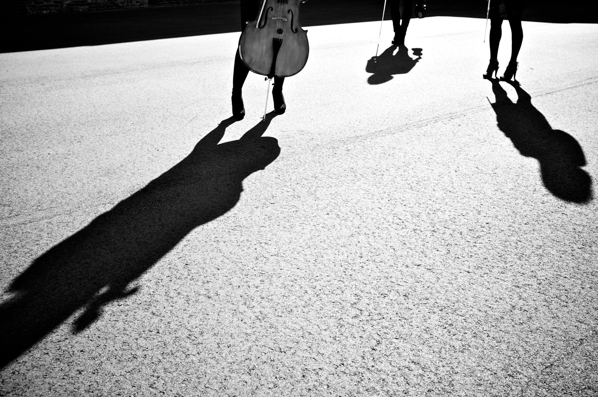 Cover photo of Alira Strings