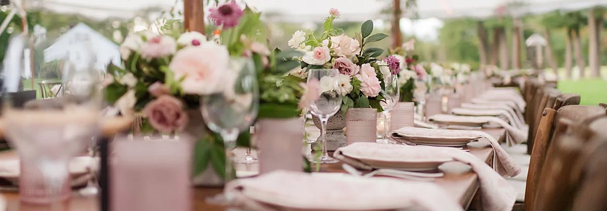 danecca-co-pittsfield-event-planner-partyslate