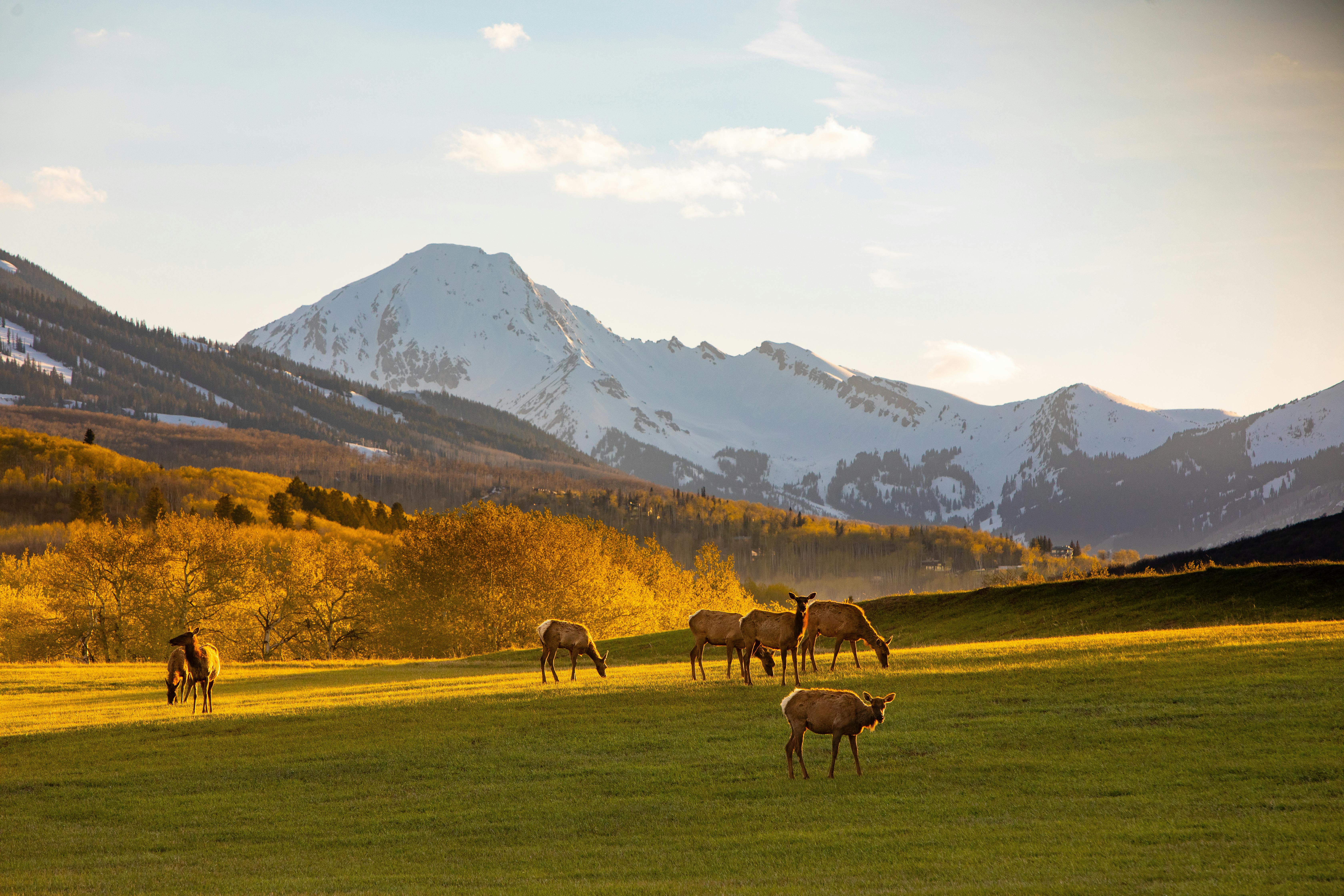 Featured photo from Snowmass Tourism