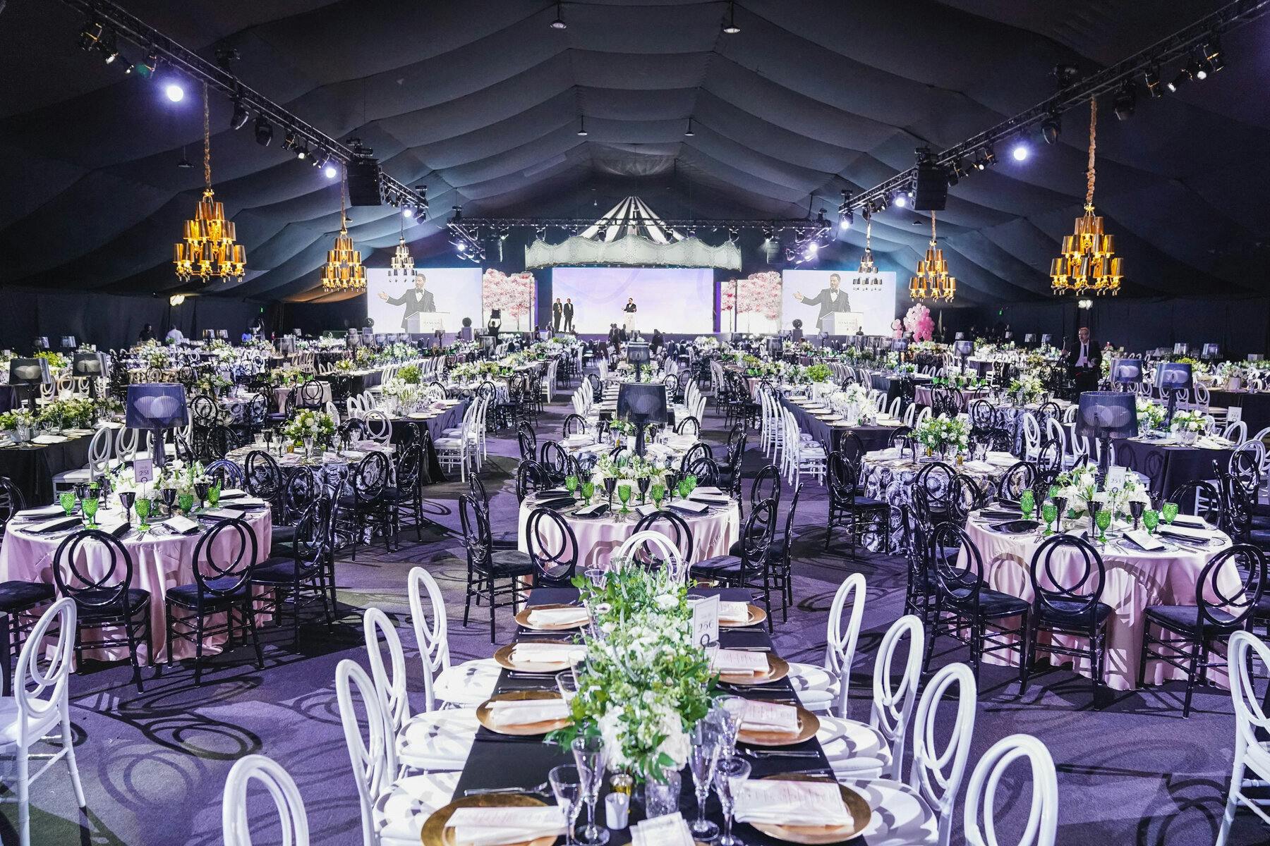 Featured photo from Hudson & Nine