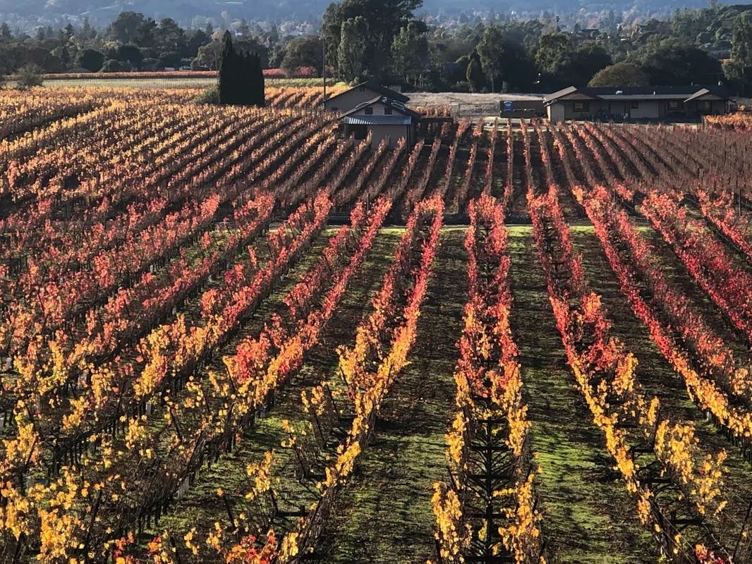 Featured photo from Comis Estate