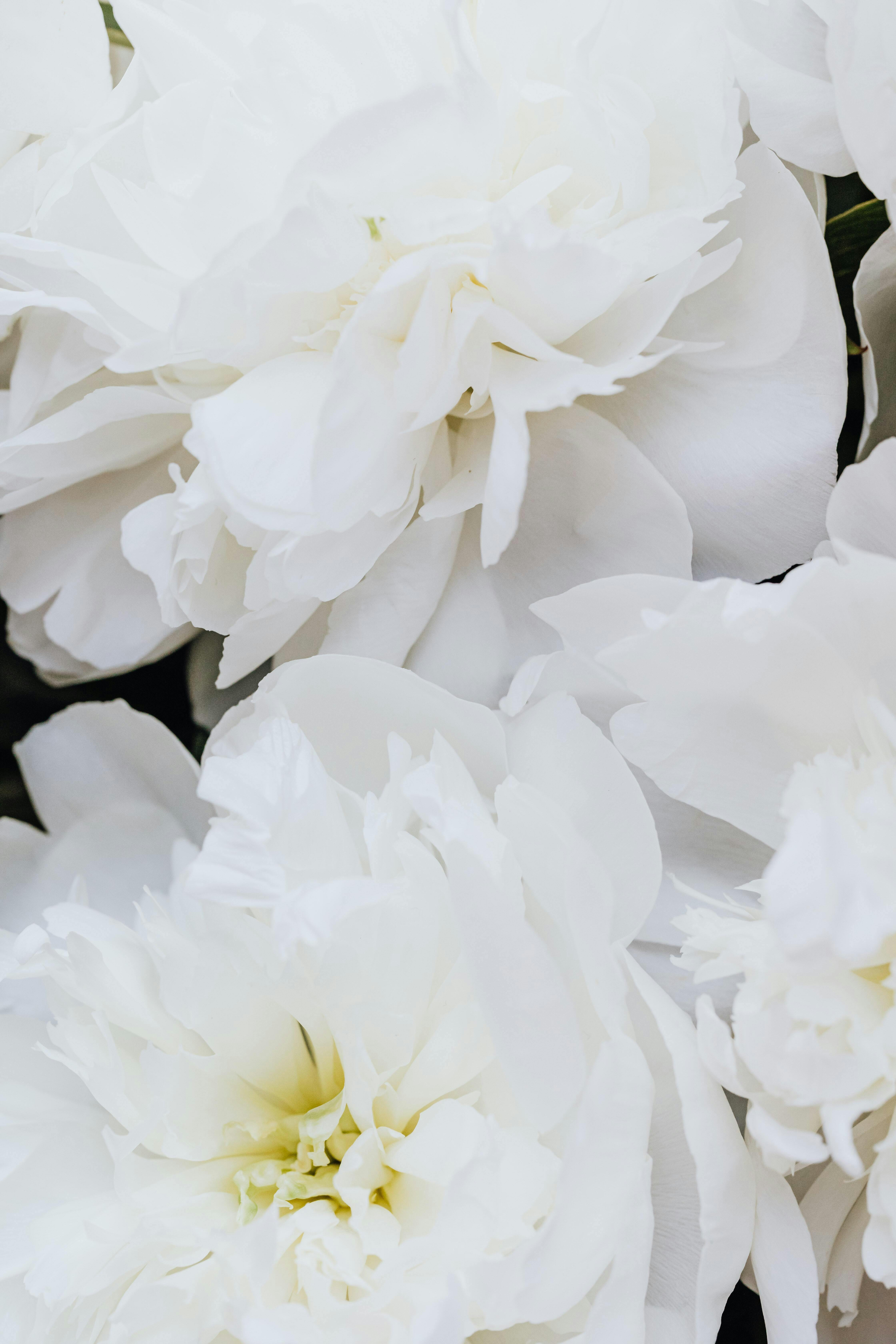 Featured photo from ROAM Weddings + Events