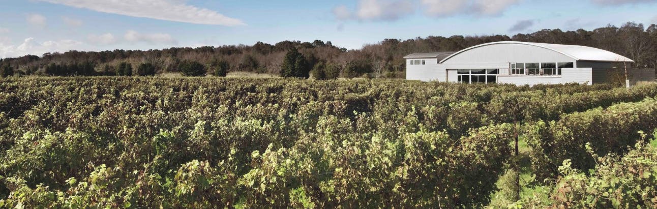 Featured photo from Saltwater Farm Vineyard