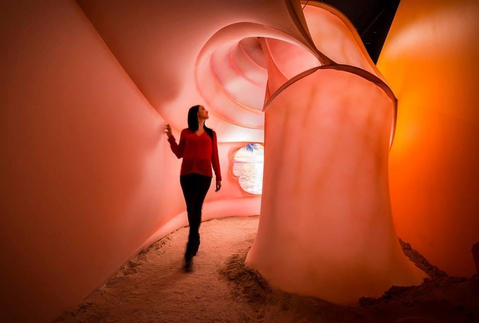 Cover photo of The Originators