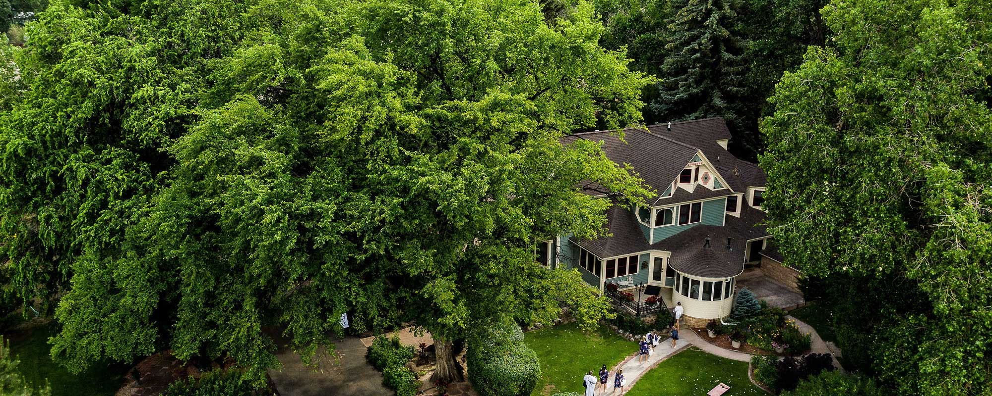 Featured photo from Tapestry House by Wedgewood Weddings