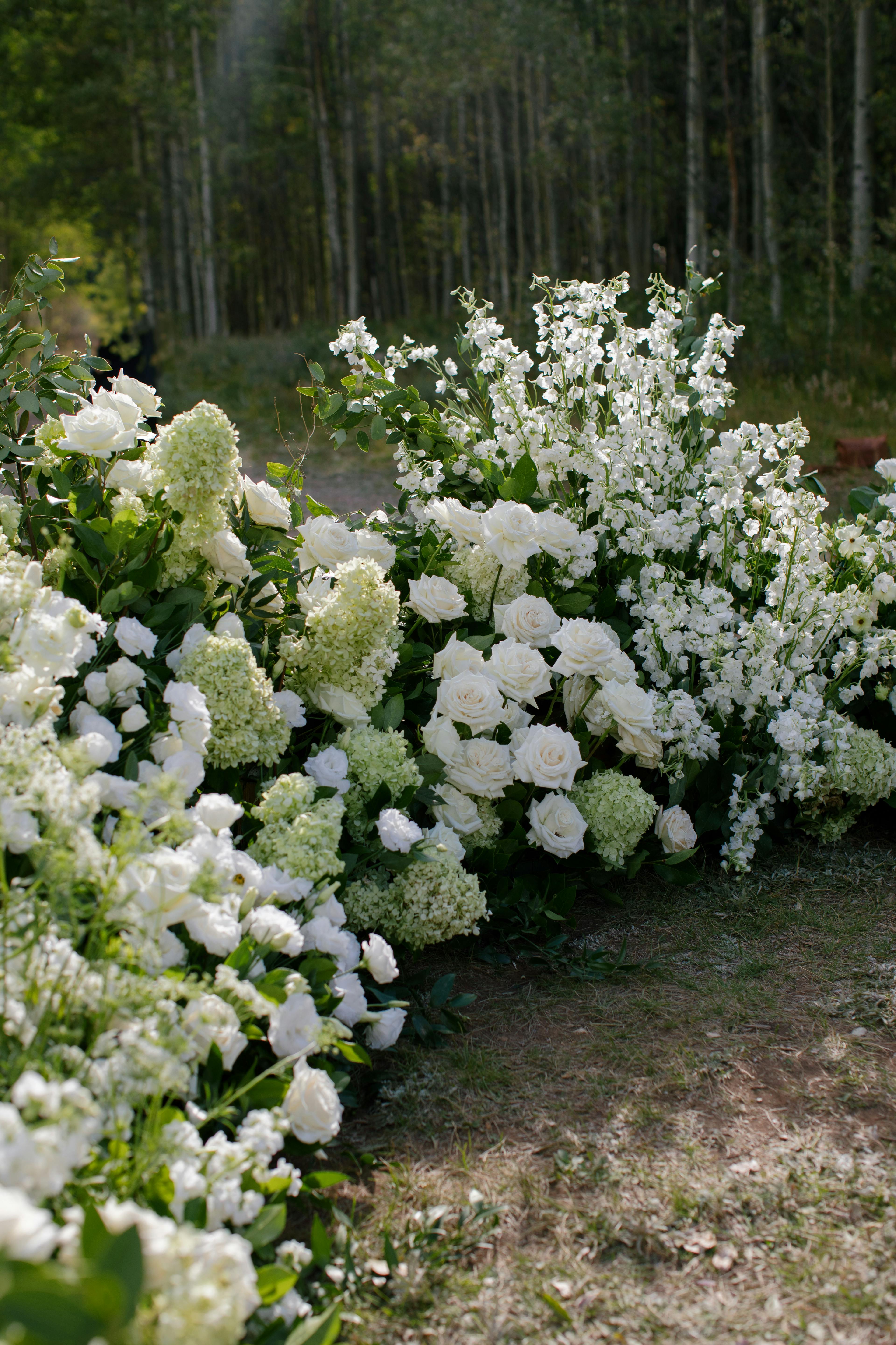 Cover photo of Plum Sage Flowers