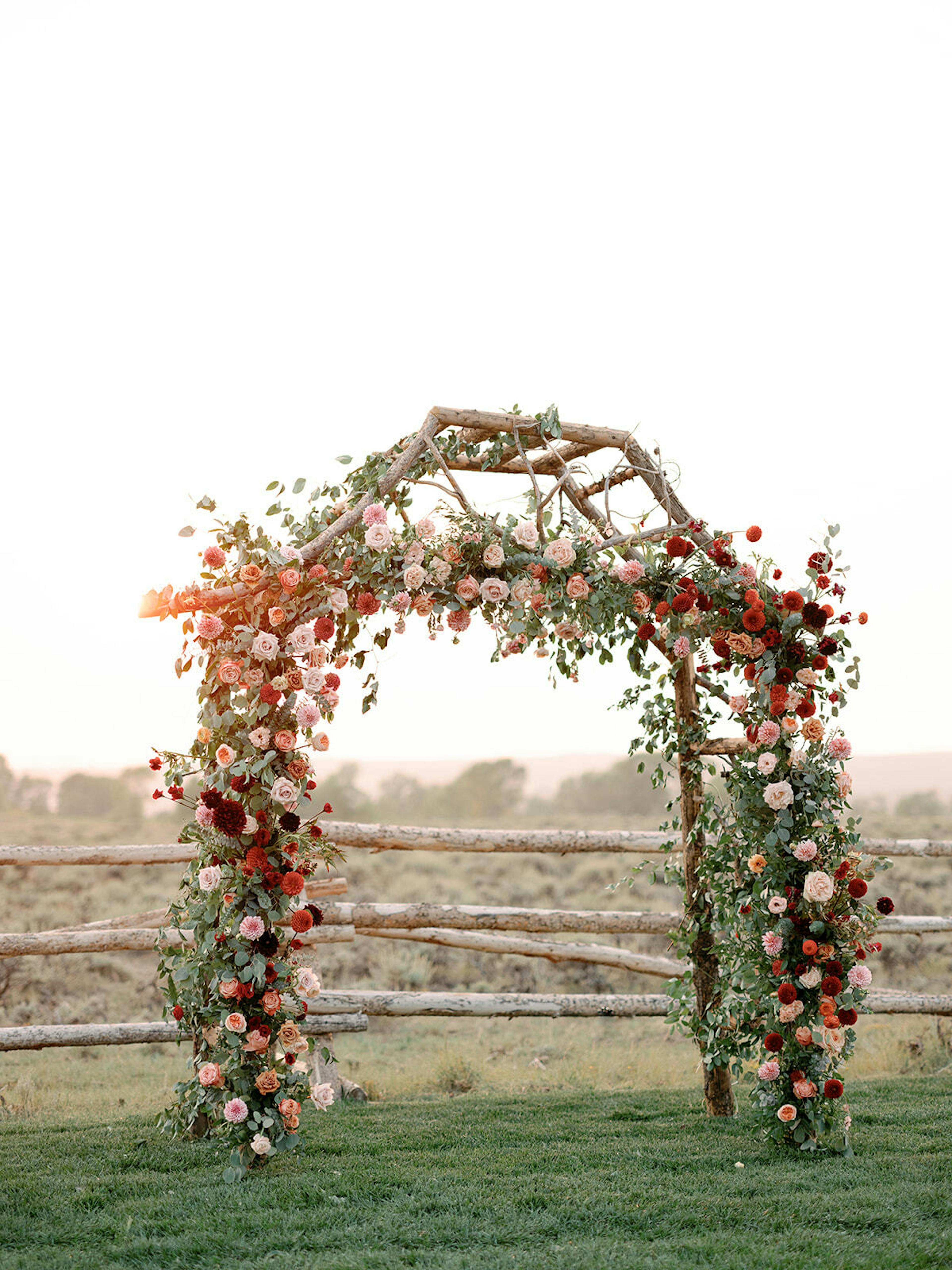 Cover photo of Plum Sage Flowers