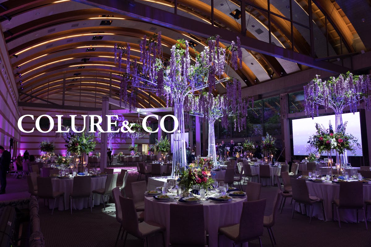 Cover photo of Colure& Co