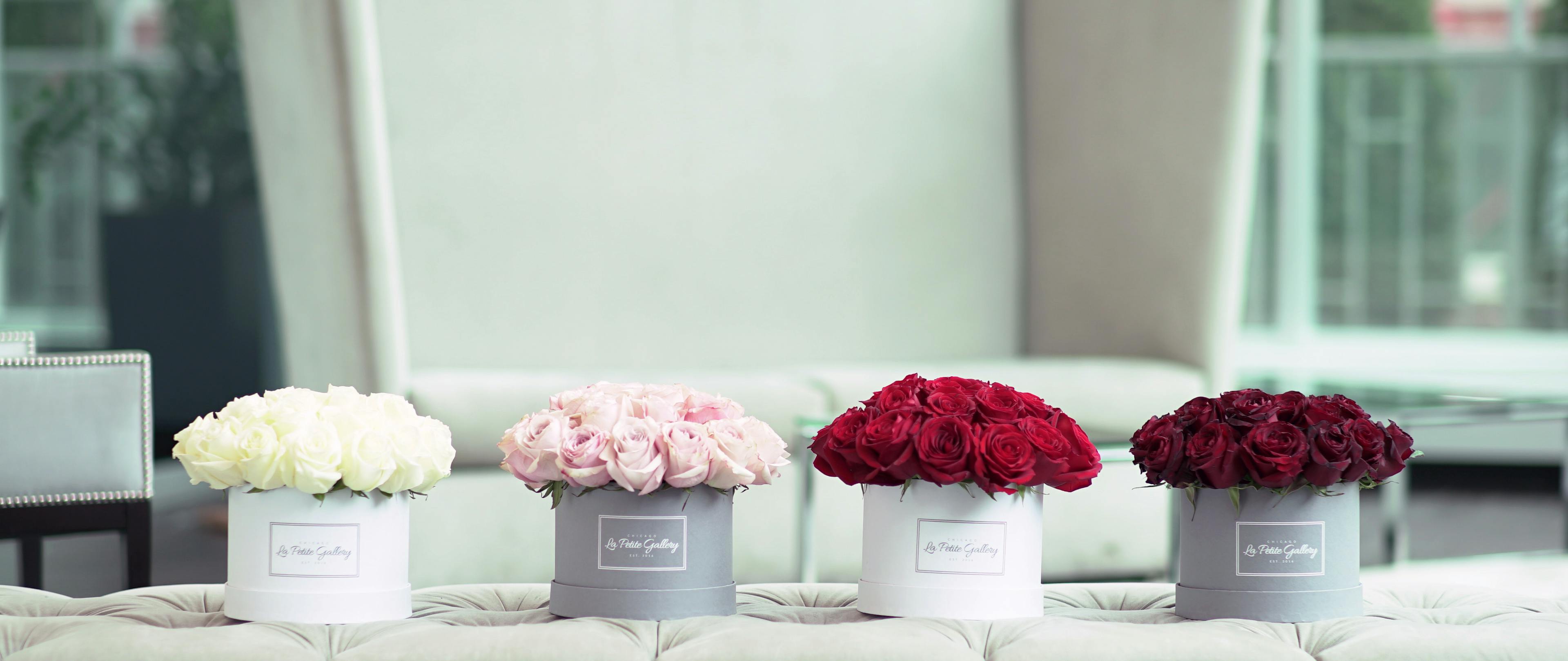 Cover photo of La Petite Gallery