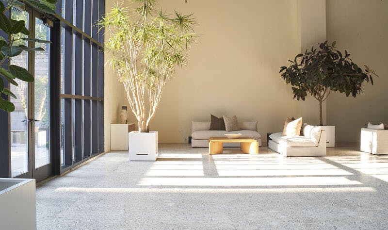 Featured photo from Shell's Loft Fort Greene