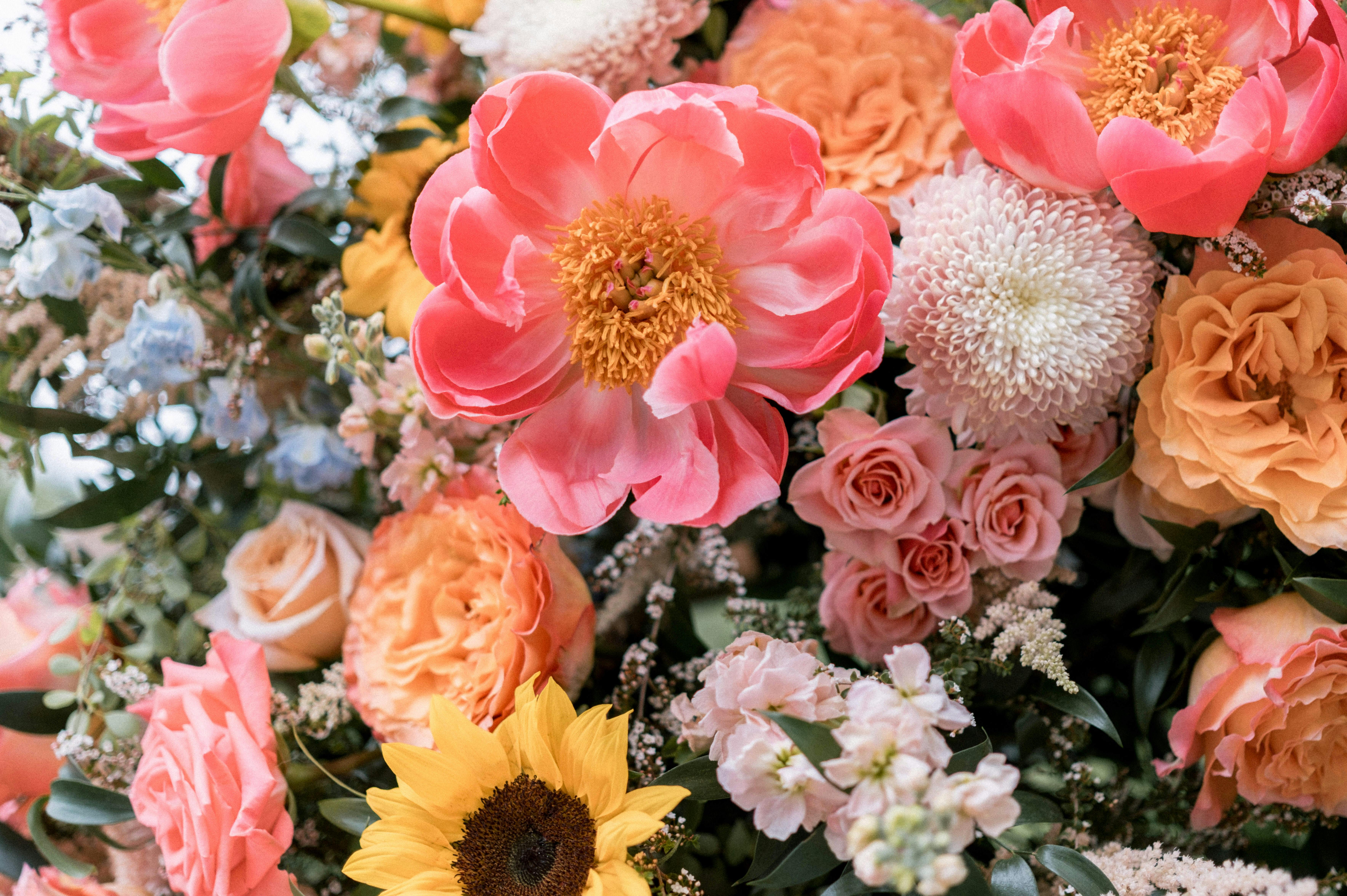 Cover photo of Zofia Floral & Design Co.