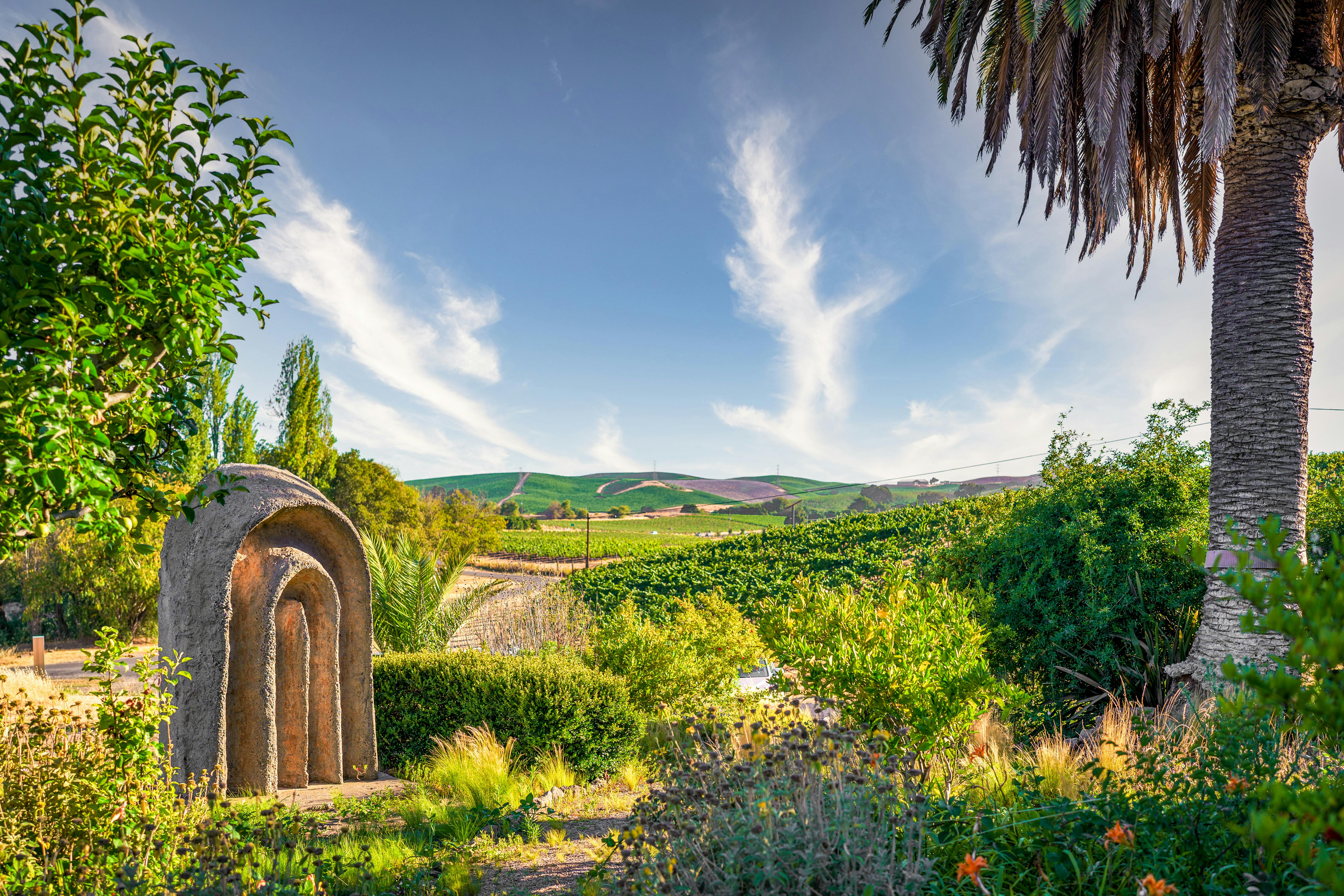 Featured photo from di Rosa Center for Contemporary Art