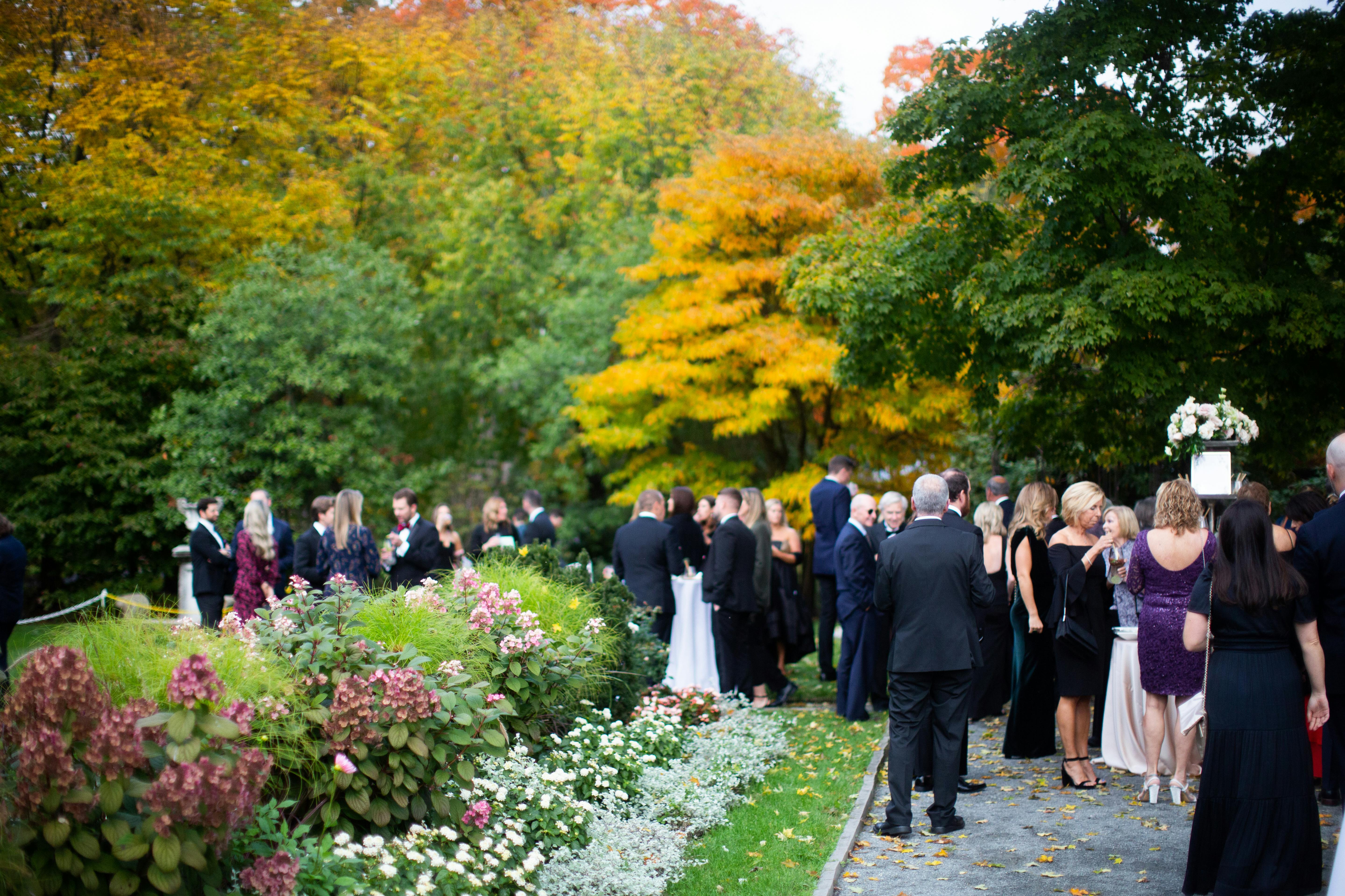 Featured photo from The Garden at Elm Bank