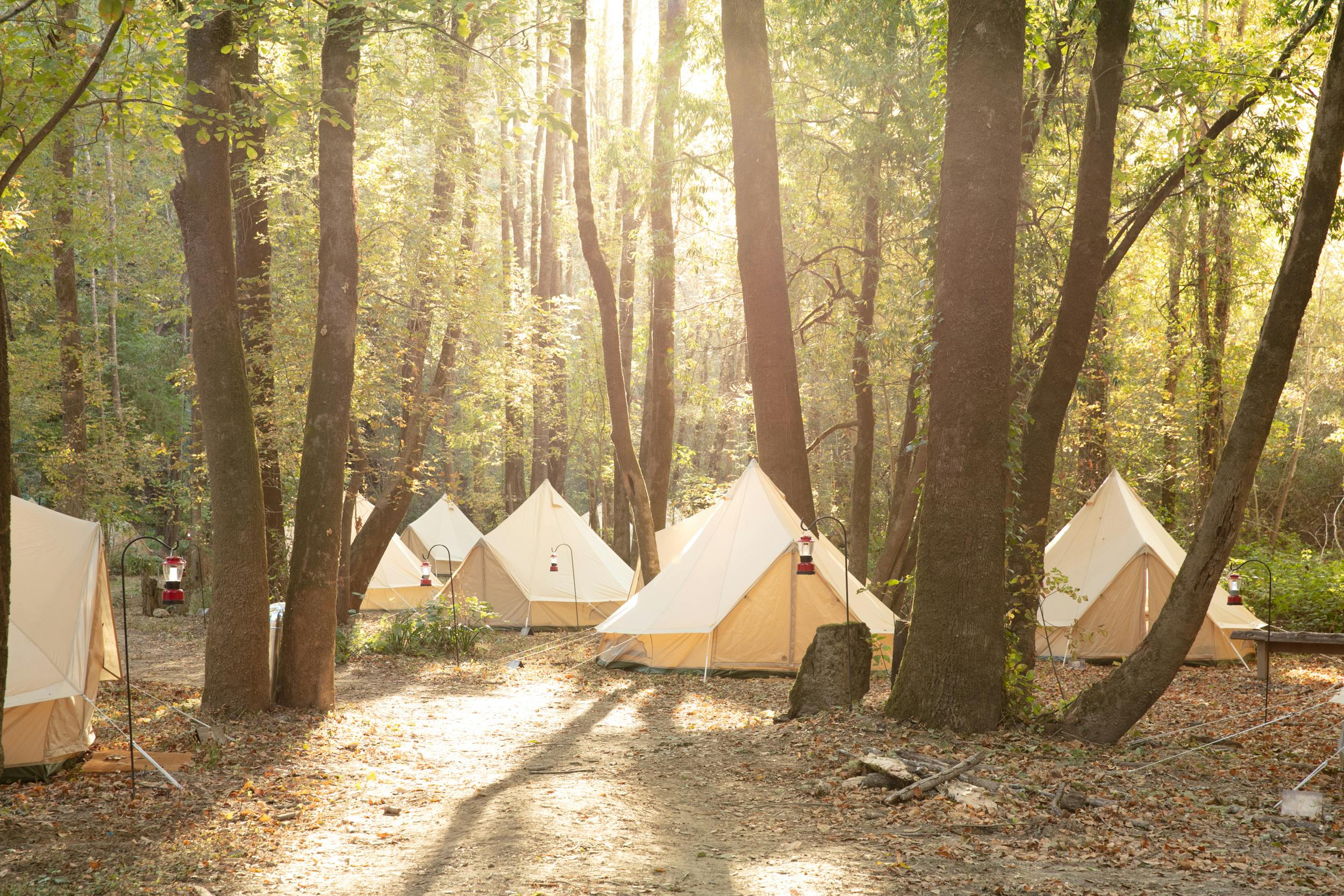 Featured photo from Shelter Co.