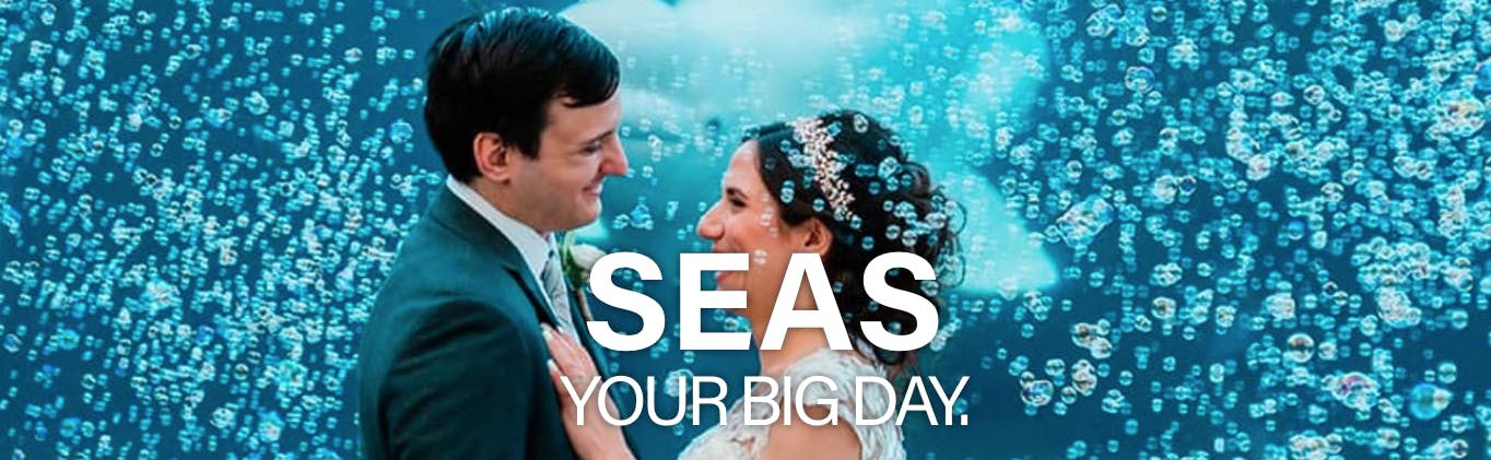 Featured photo from Mystic Aquarium
