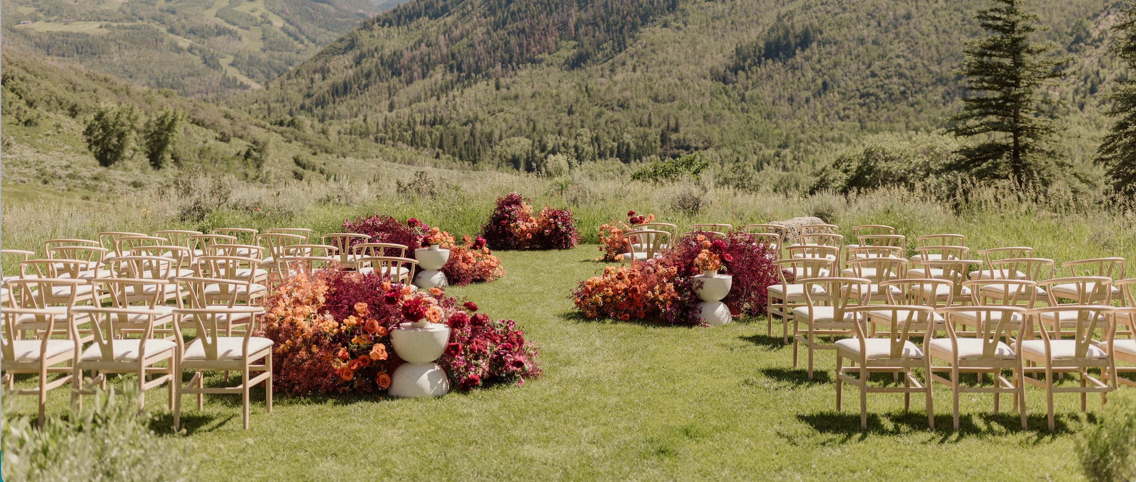 Cover photo of paper forest design