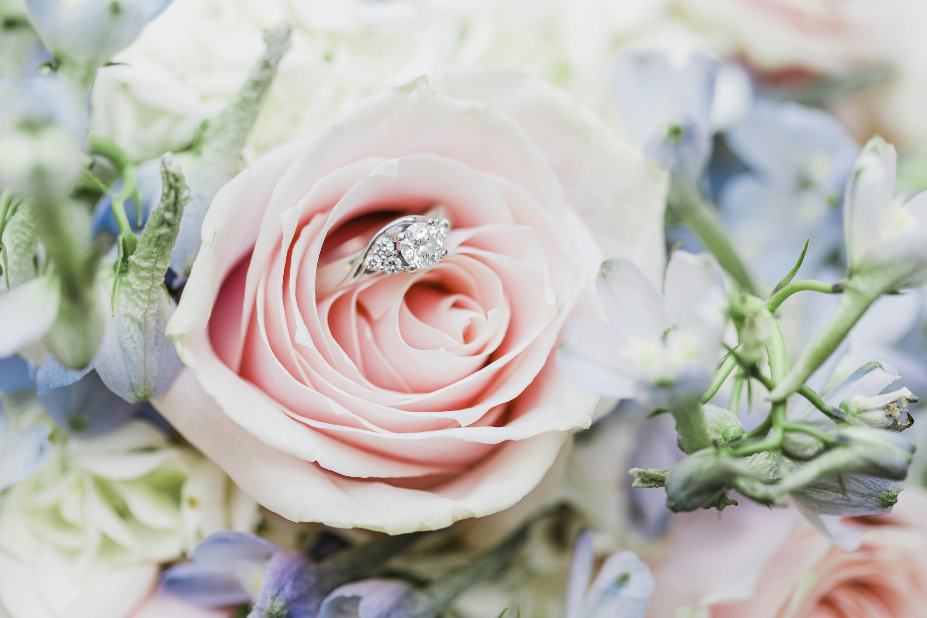 Featured photo from Melissa Wenger Photography