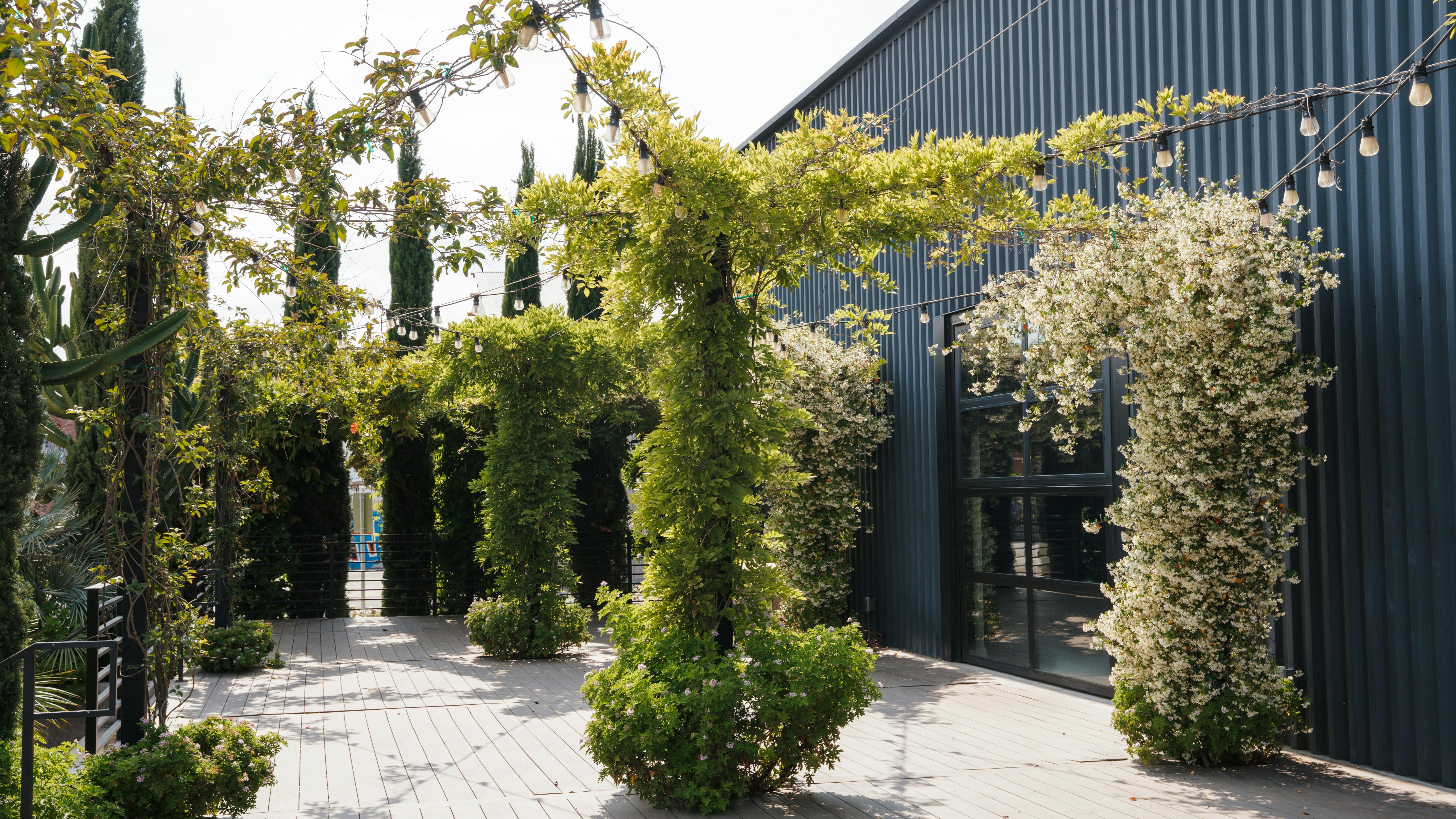 Featured photo from Rolling Greens DTLA