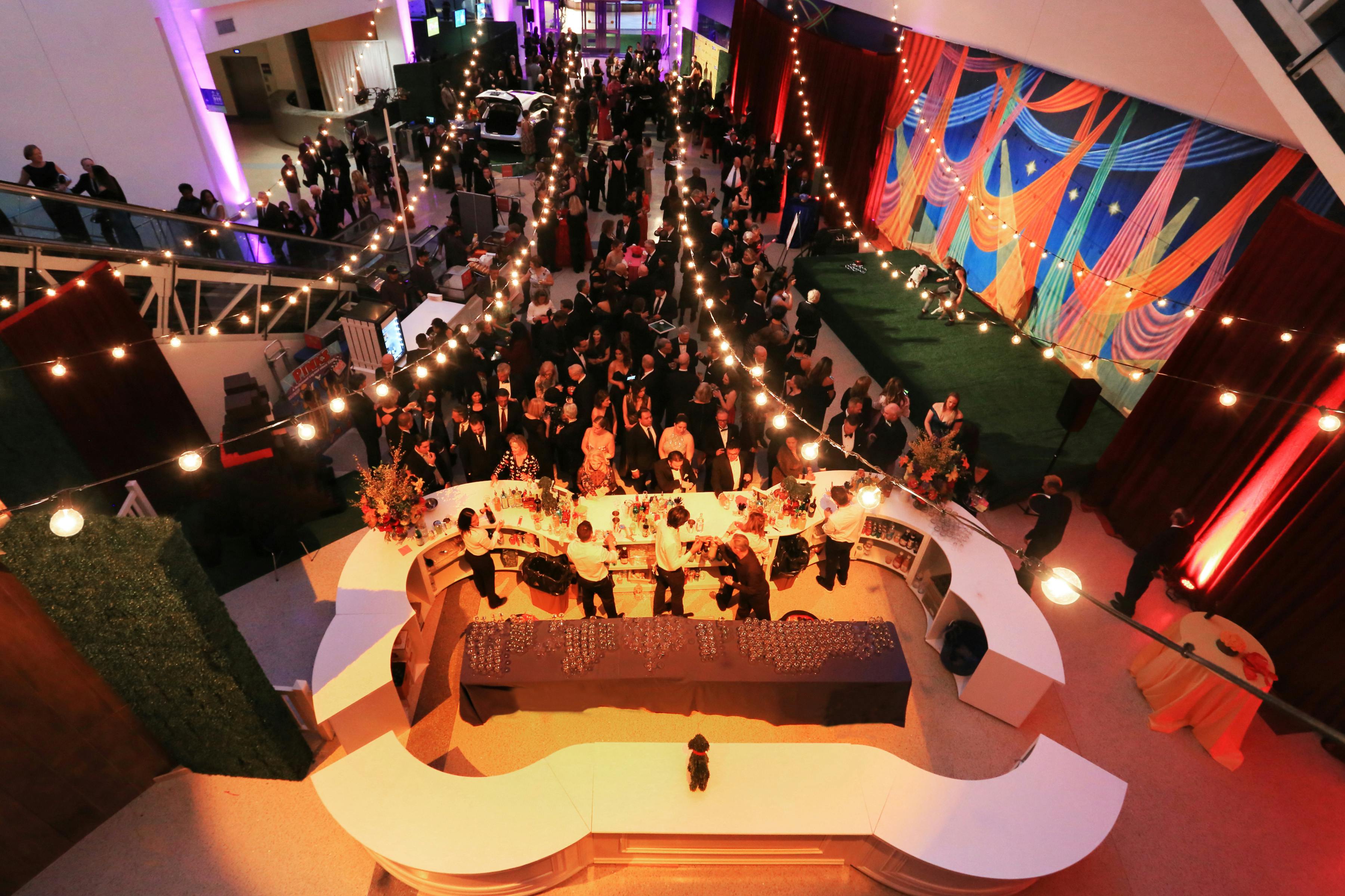 Featured photo from California Science Center