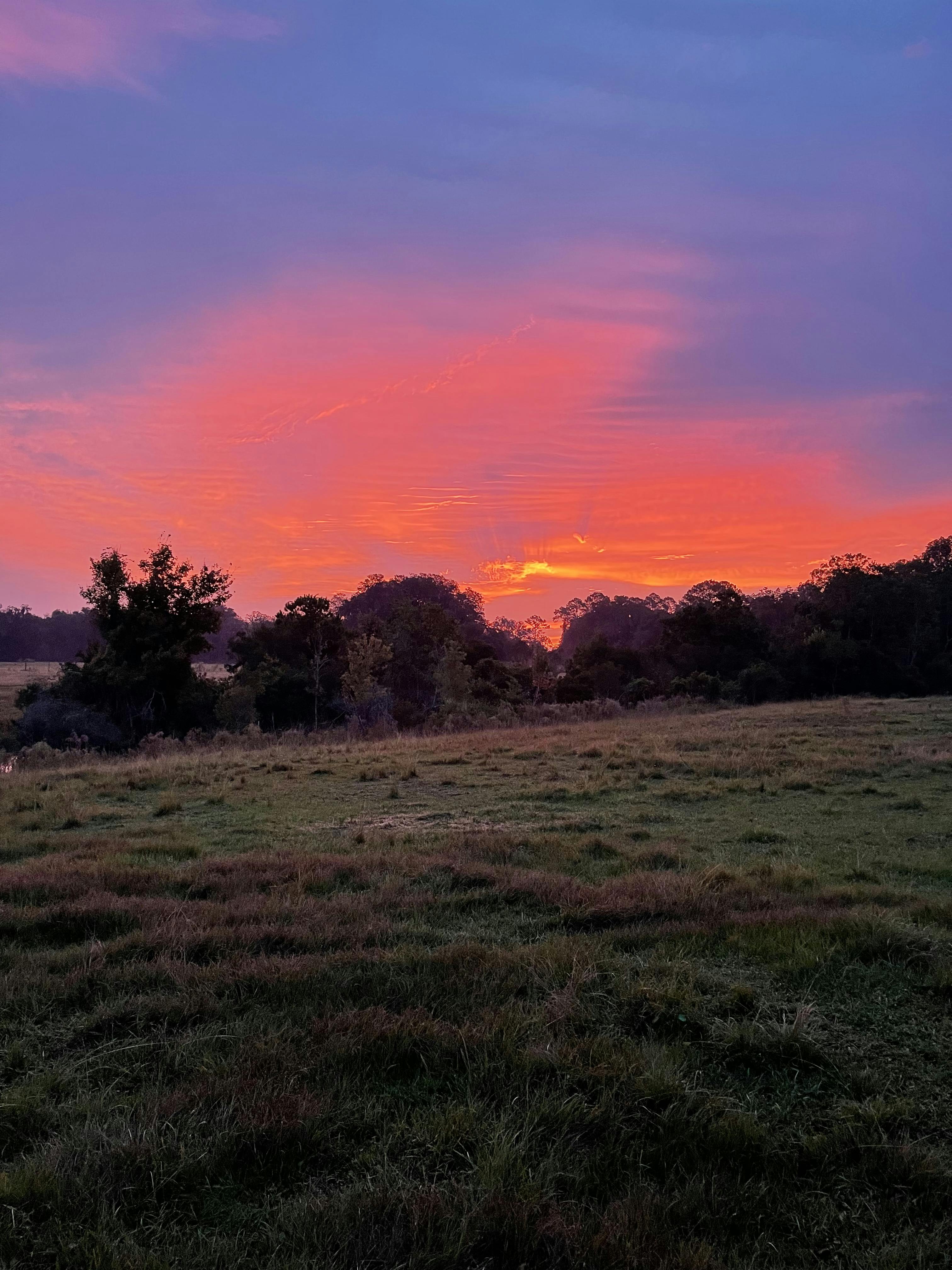 Featured photo from Golden Creek Ranch