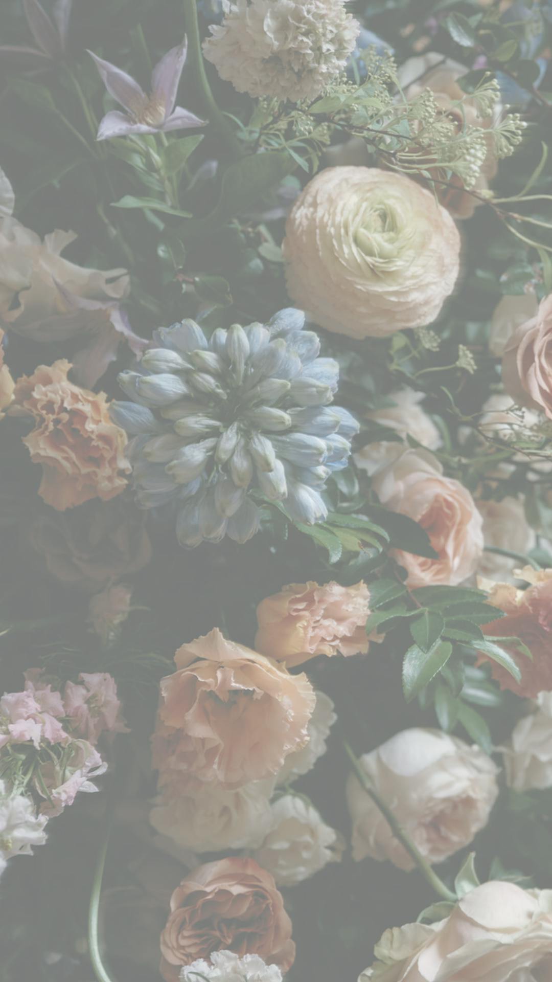 Featured photo from Renee Lemaire Photography