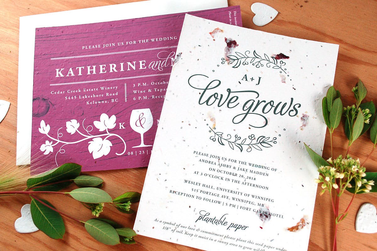 Featured photo from Botanical PaperWorks