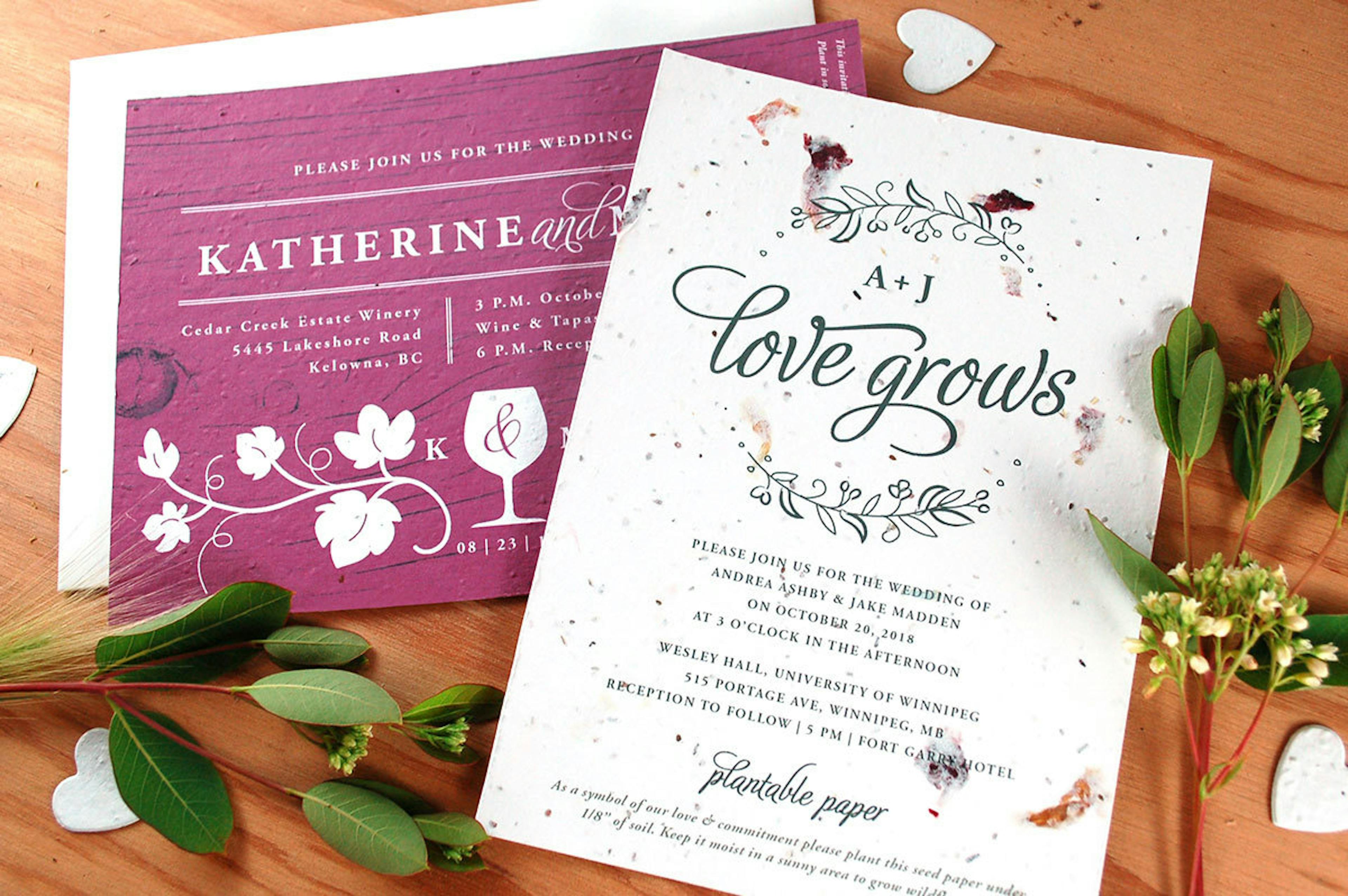 Cover photo of Botanical PaperWorks