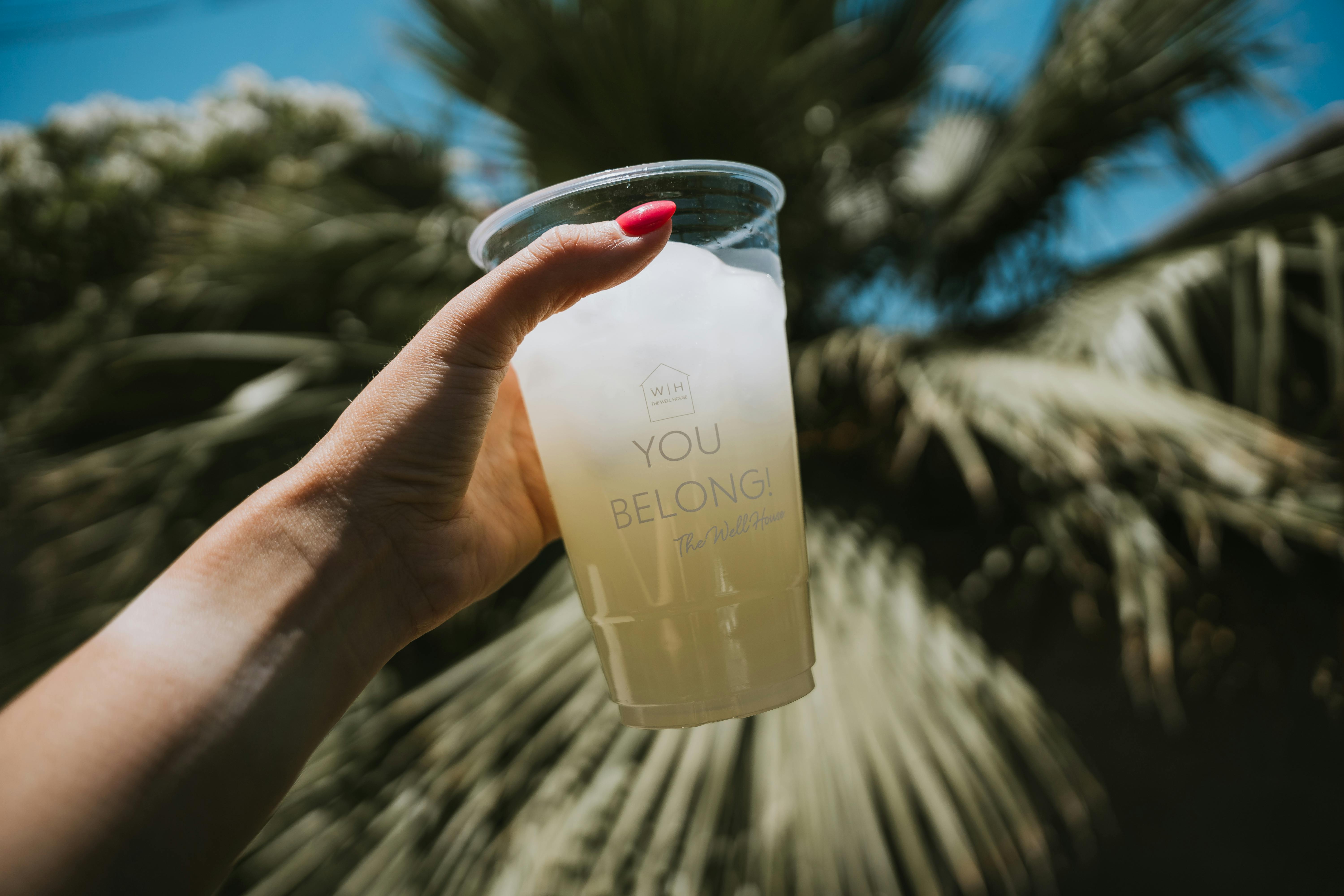 Cover photo of The Well House